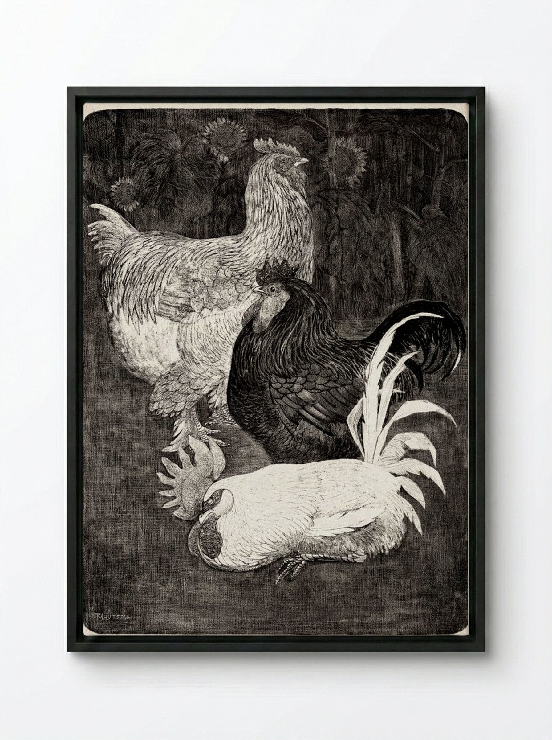 Drie Hanen (Three Roosters) - Theo van Hoytema - Framed Canvas Black