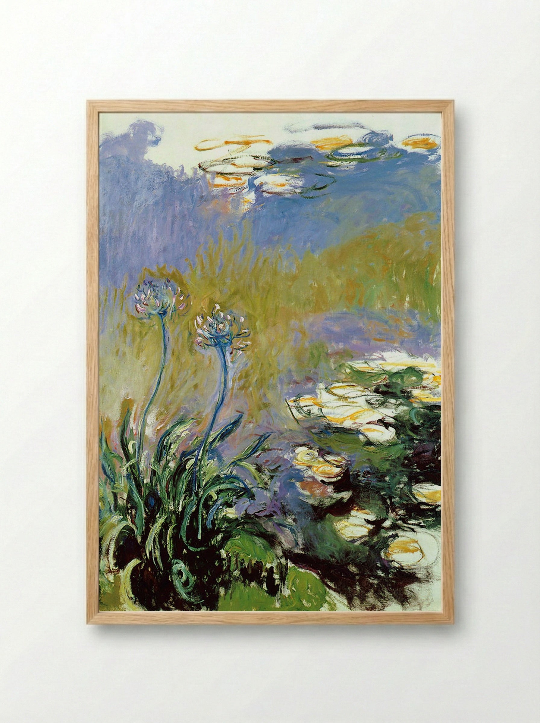 Agapanthus - Claude Monet - Framed Print Wood