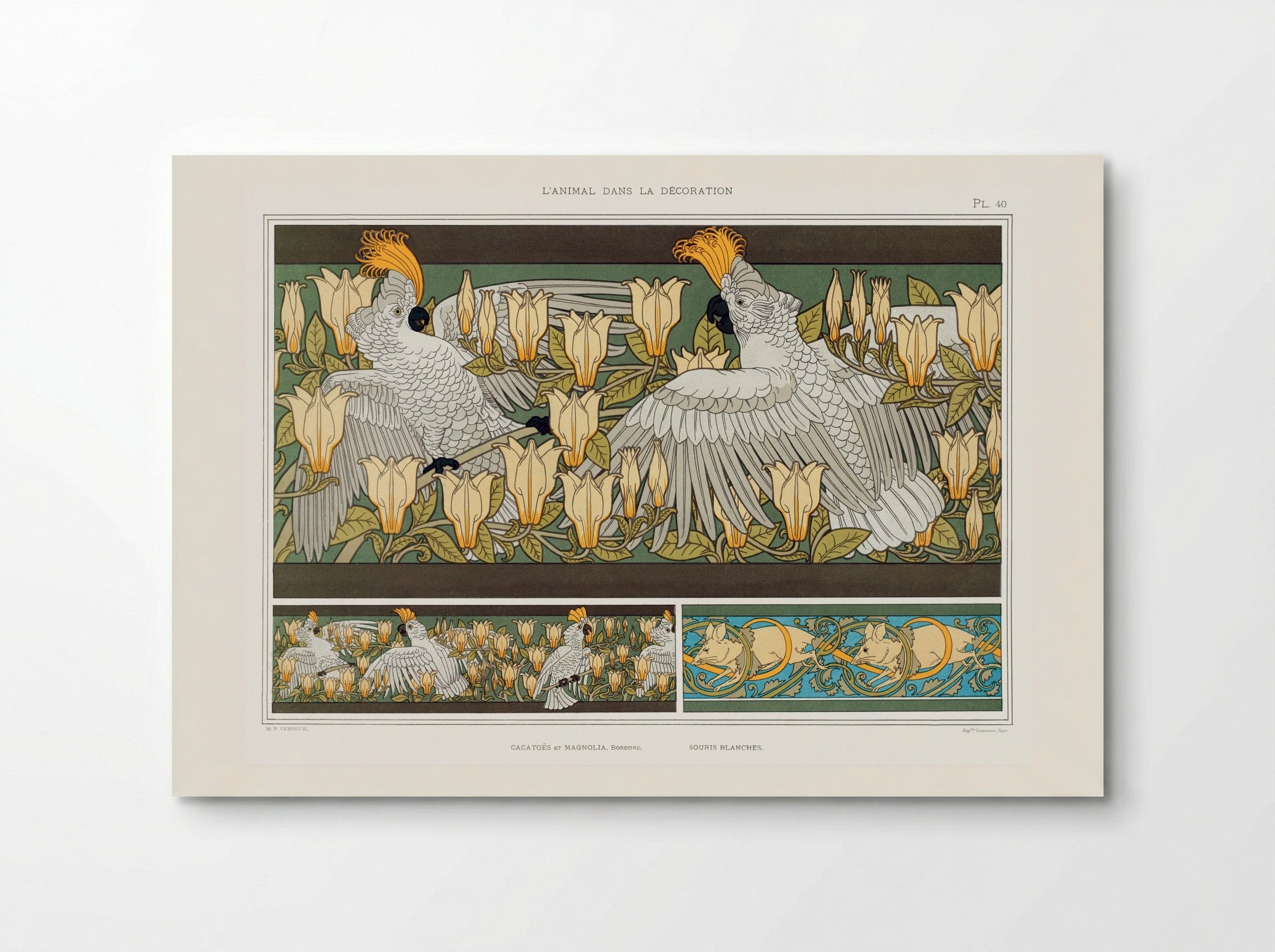 Cacatoès et Magnolia, Bordure; Souris Blanches - Maurice Pillard Verneuil - Poster
