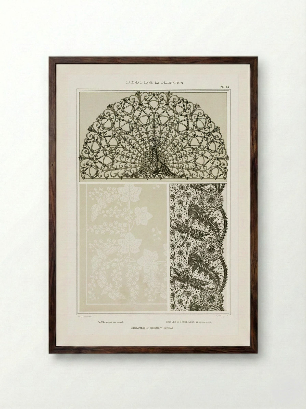 L'Animal dans la Décoration, Plate 14 (Peacock, Cicadas, Dragonflies) - Maurice Pillard Verneuil - Framed Print Dark Wood
