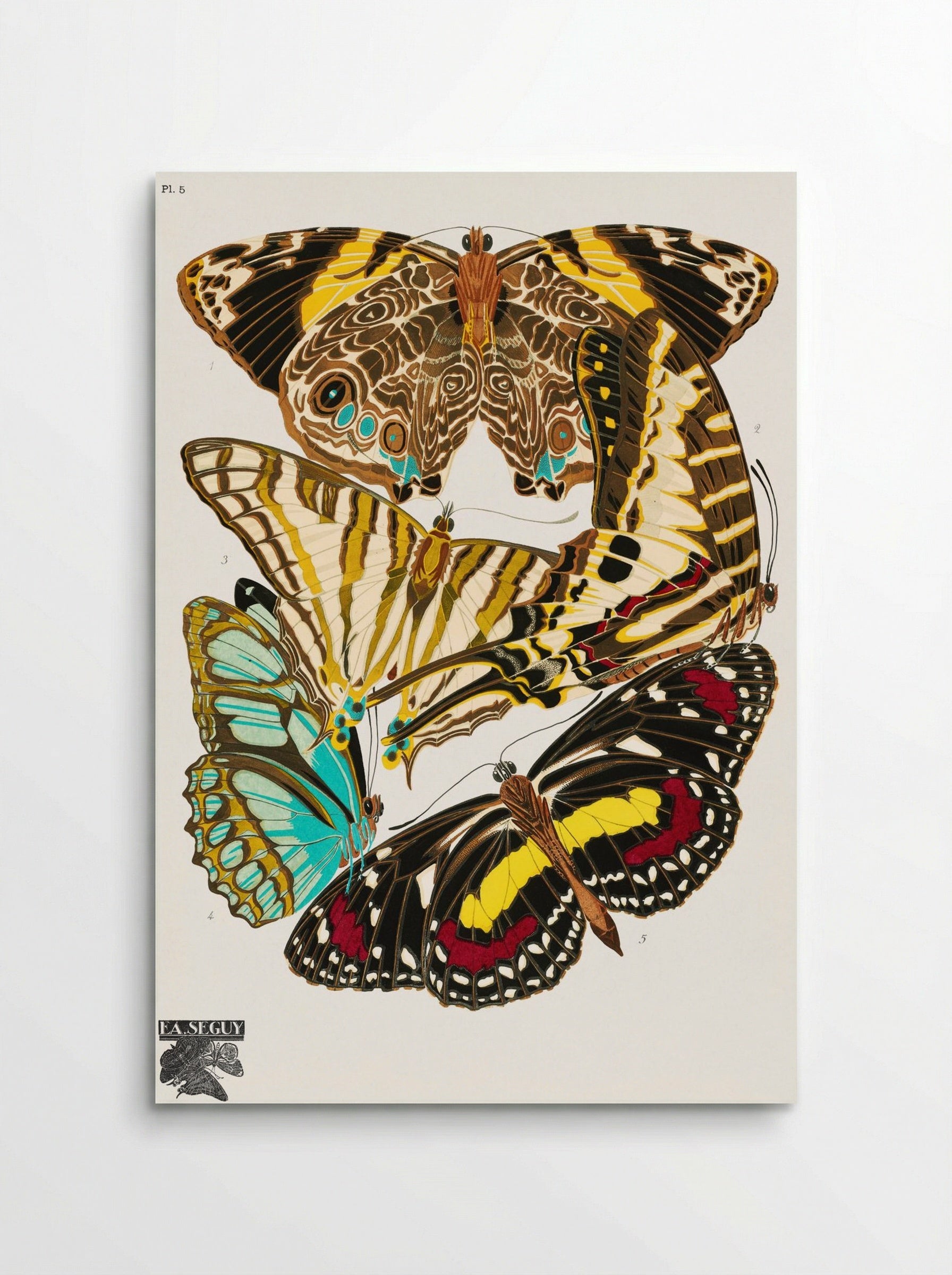 Butterflies, Plate 5 - Émile-Allain Séguy - Poster