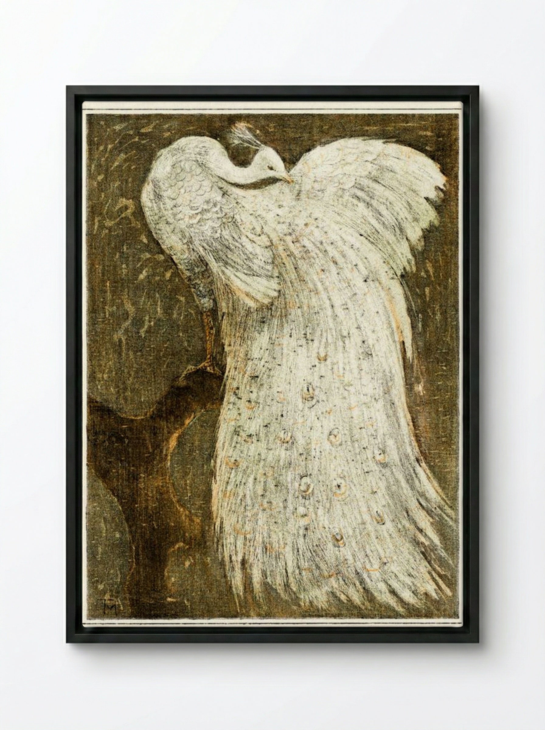 White Peacock on a Branch - Theo van Hoytema - Framed Canvas Black