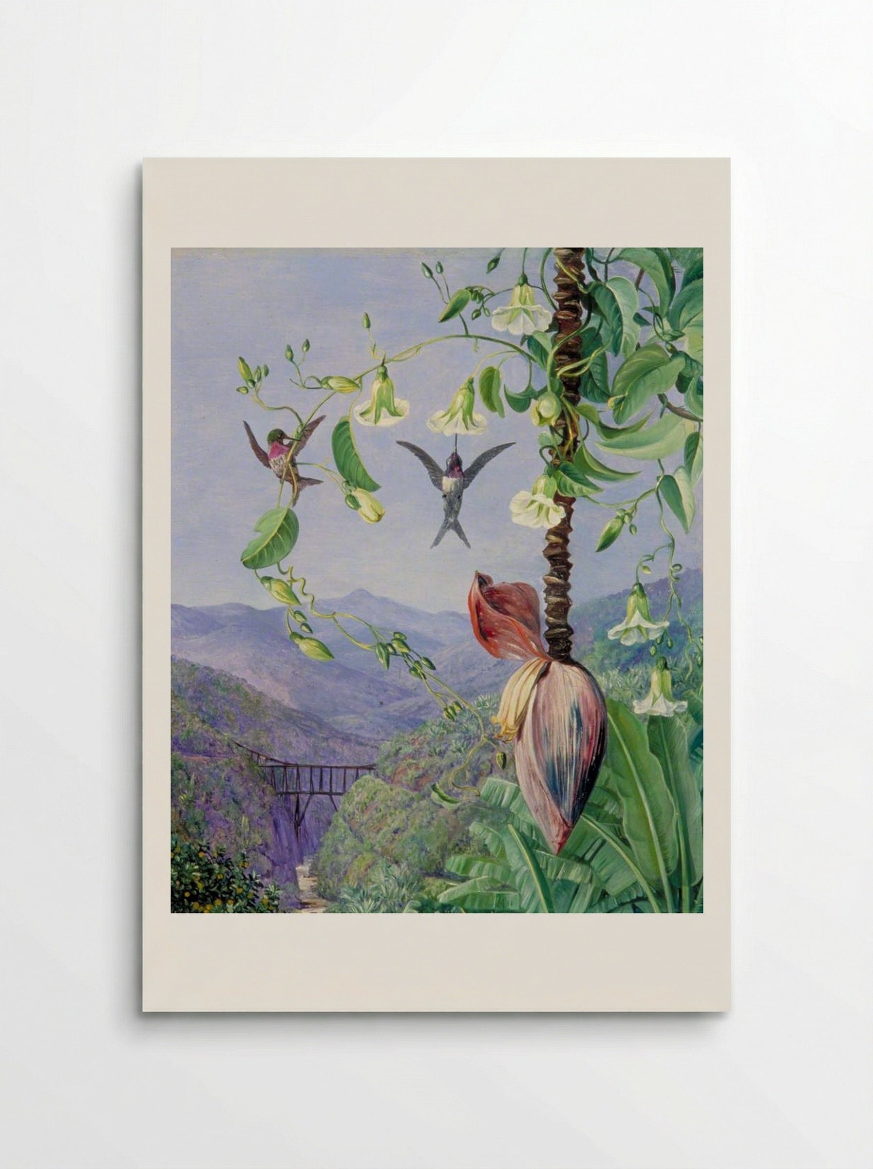 The Aqueduct of Morro Velho, Brazil - Marianne North - Poster