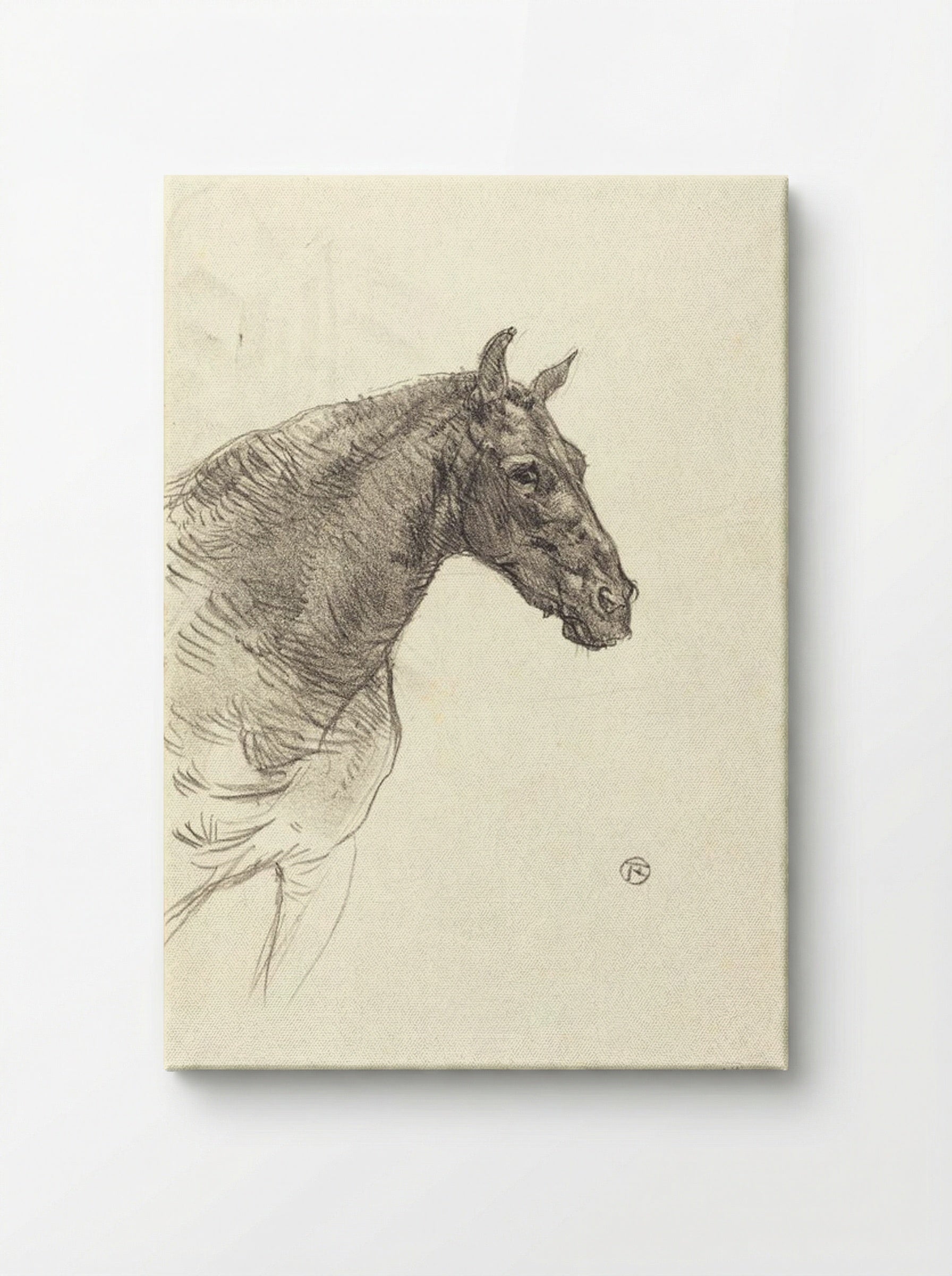 Le Vieux Cheval (Old Horse) - Henri de Toulouse-Lautrec - Canvas