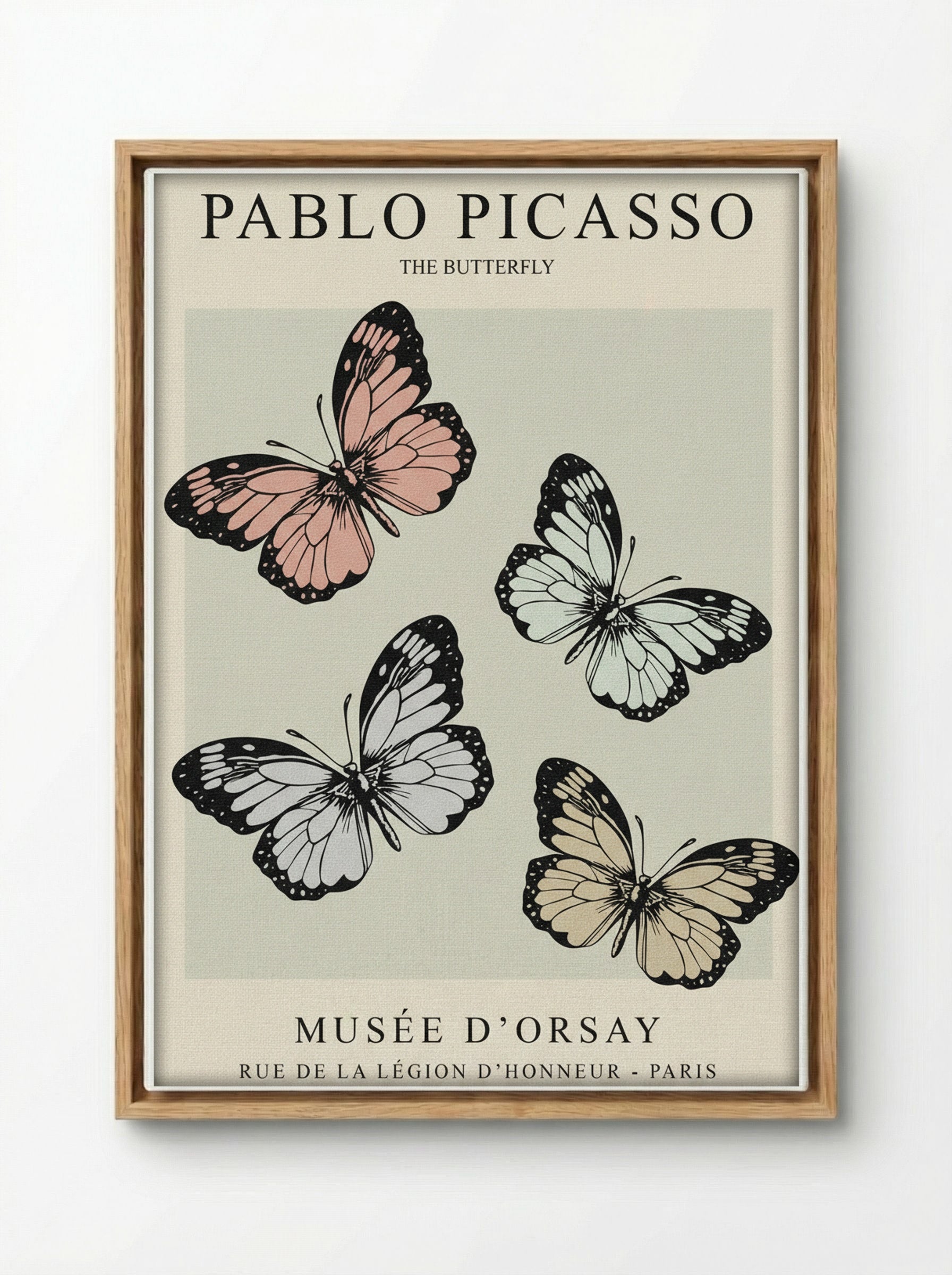 The Butterfly - Pablo Picasso