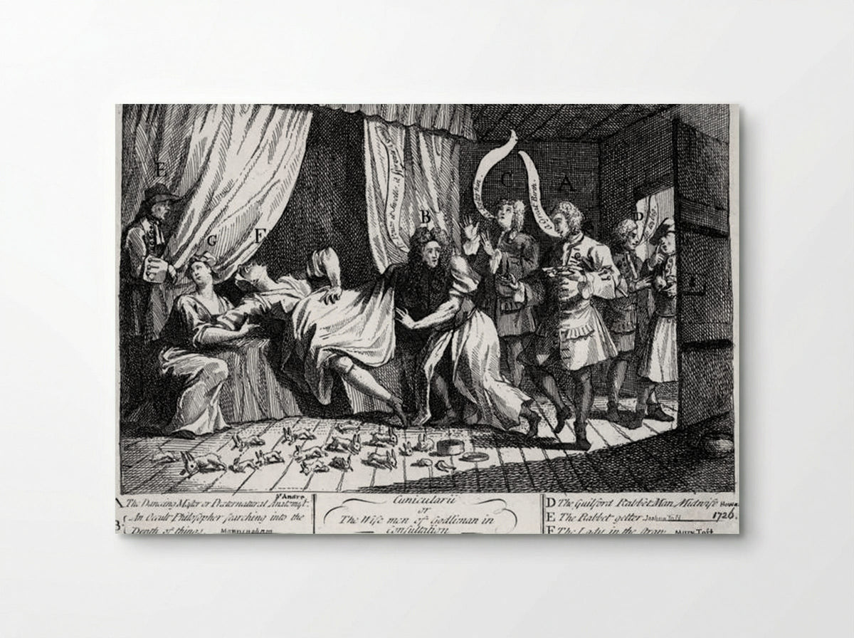 Mary Toft, apparently giving birth to rabbits - William Hogarth - Poster