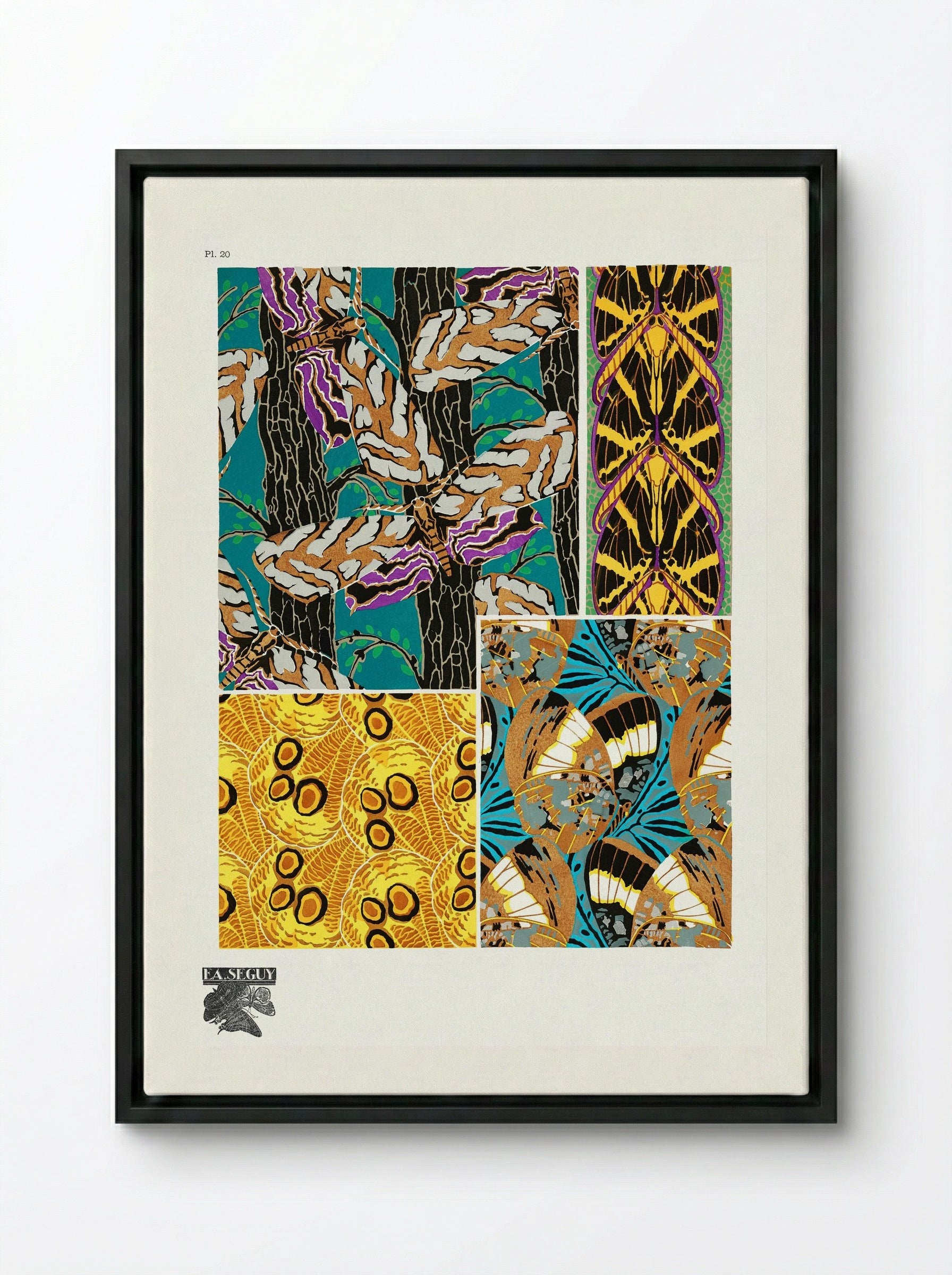 Butterflies Pattern Plate (from Papillons) - Émile-Allain Séguy - Framed Canvas Black