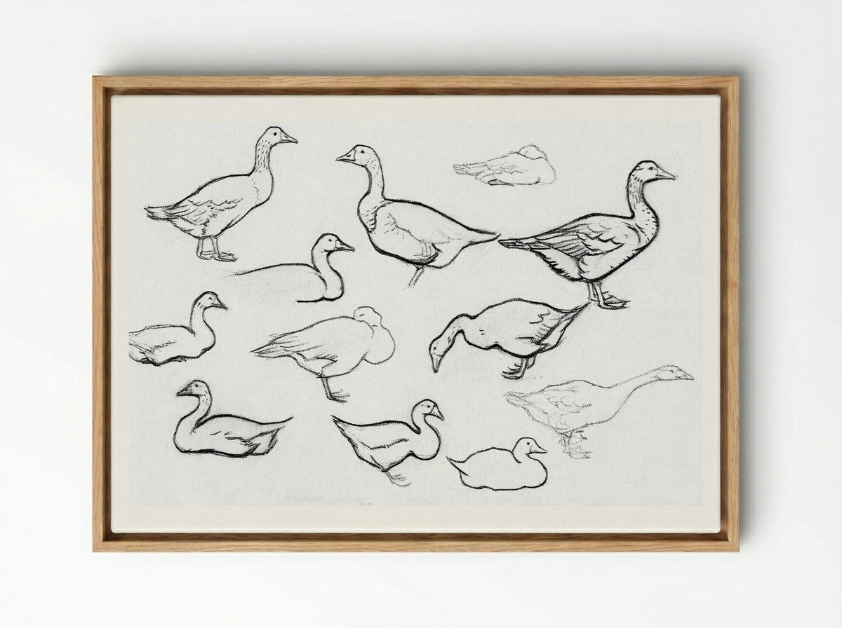 Study of Geese - Julie de Graag - Framed Canvas Wood