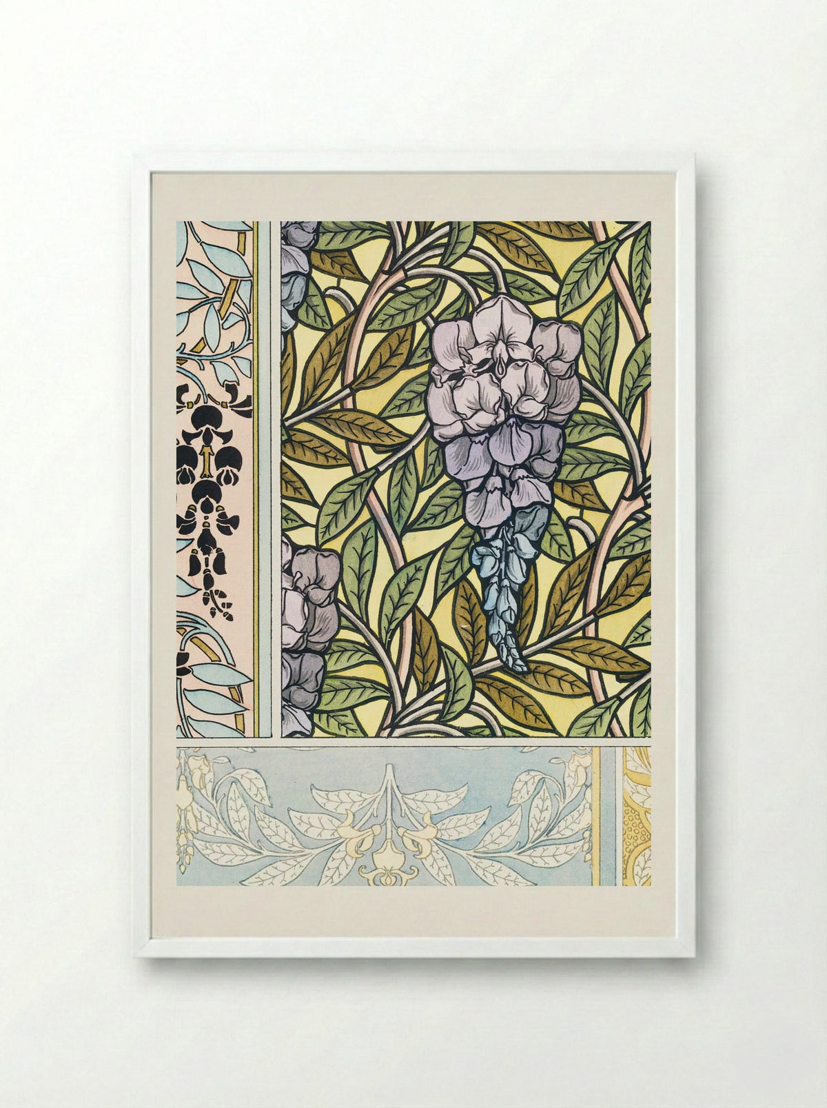 Glycine (Wisteria) from La Plante et ses Applications ornementales - Maurice Pillard Verneuil - Framed Print White