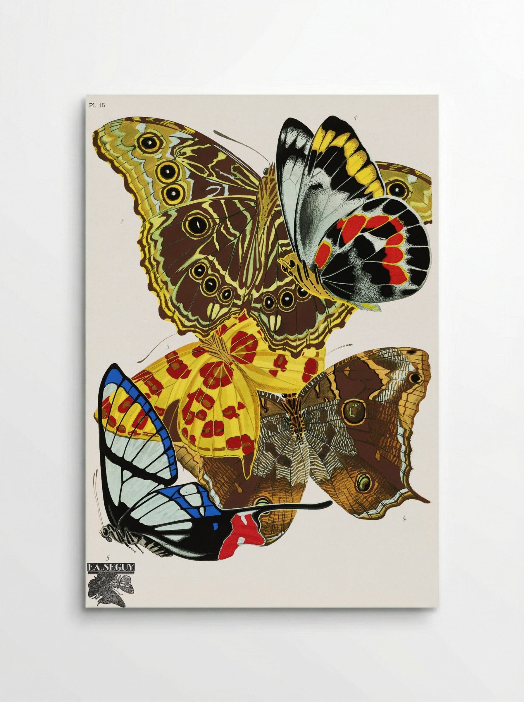 Butterflies (Plate 15) - Émile-Allain Séguy - Poster