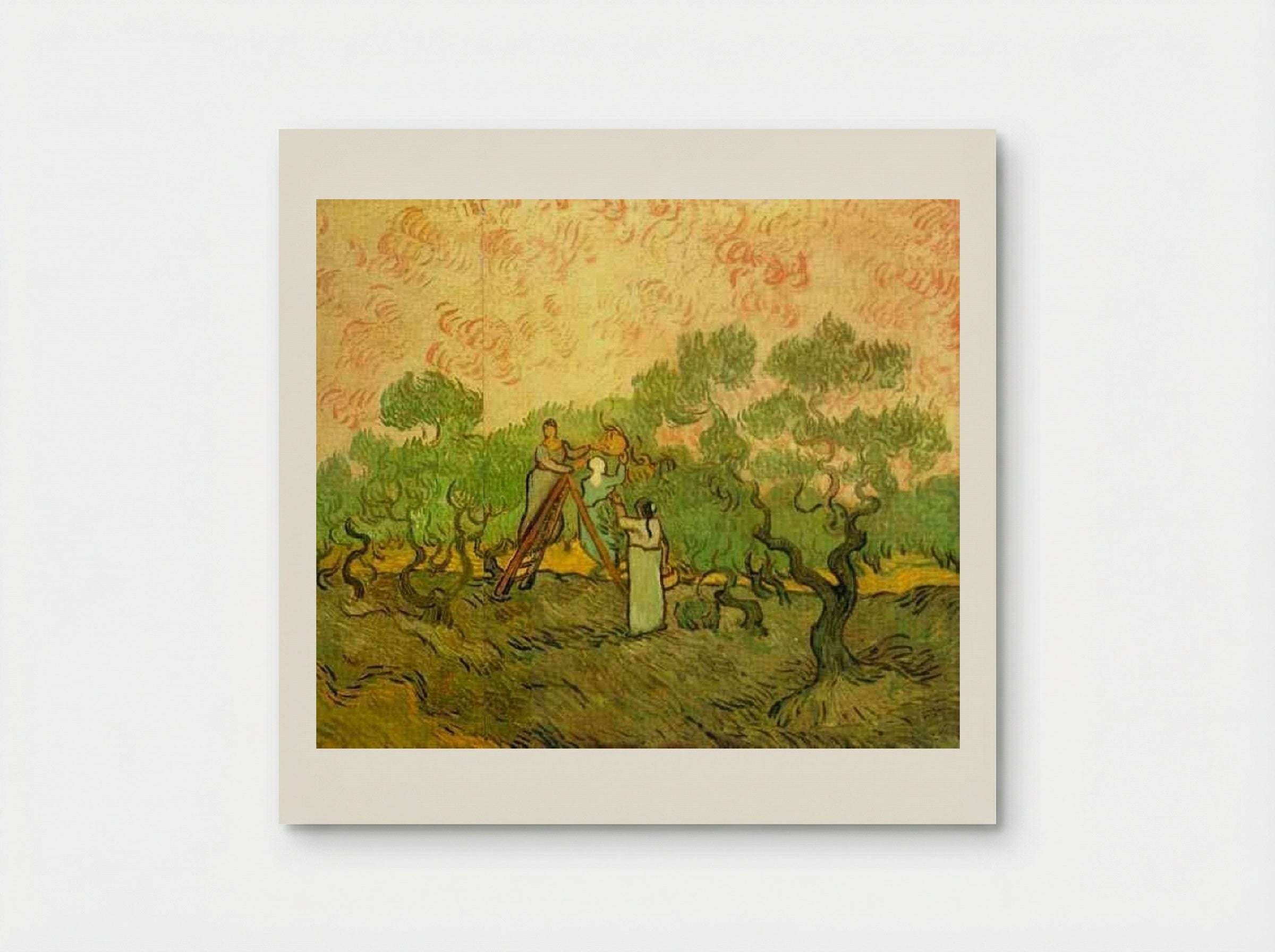 Olive Picking - Vincent van Gogh - Poster