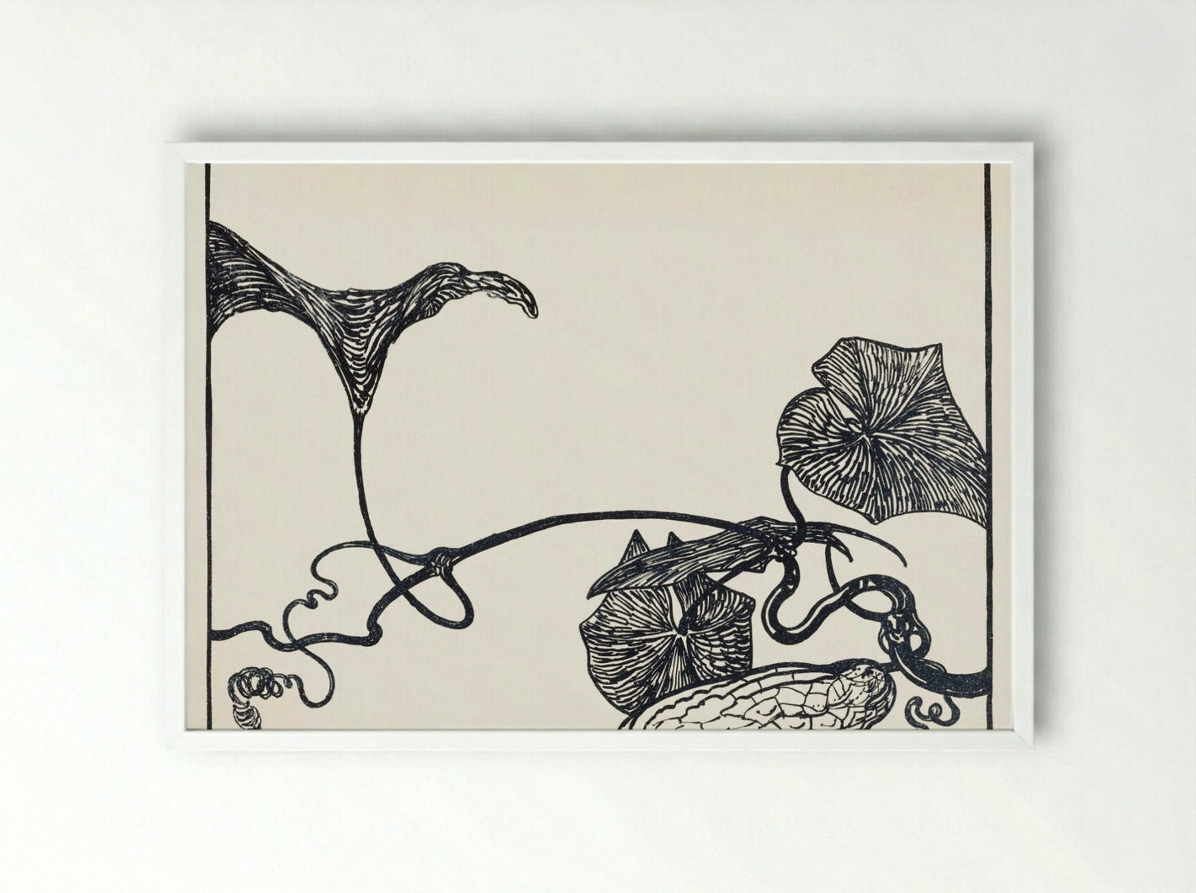 Augurkenplant (Cucumber Plant) - Theo van Hoytema - Framed Print White