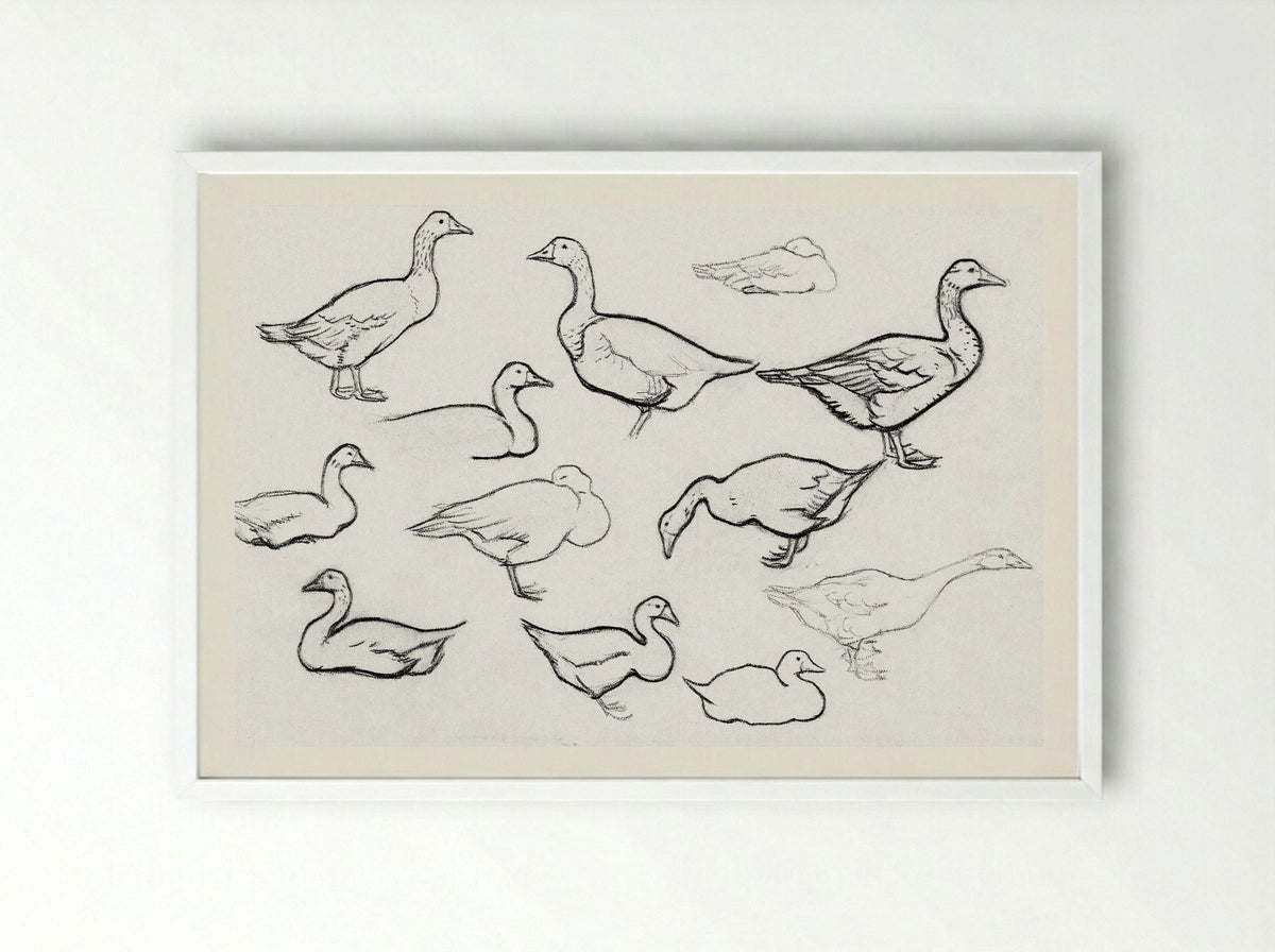 Study of Geese - Julie de Graag - Framed Print White