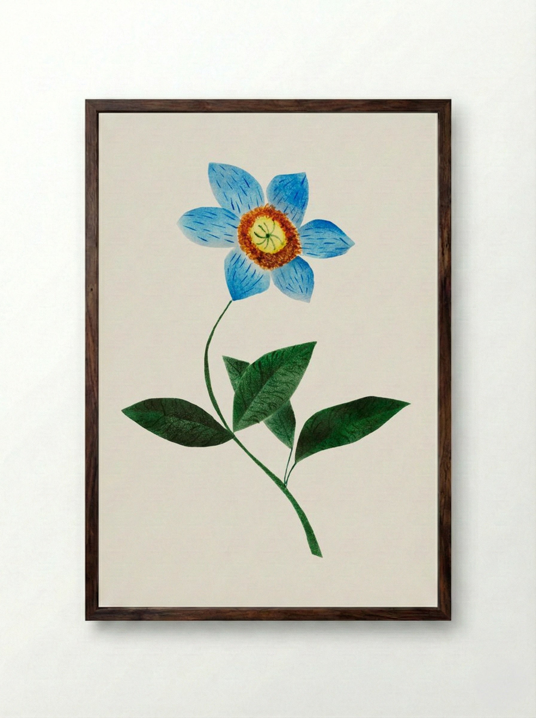 Star Flower - Mary Altha Nims - Framed Print Dark Wood
