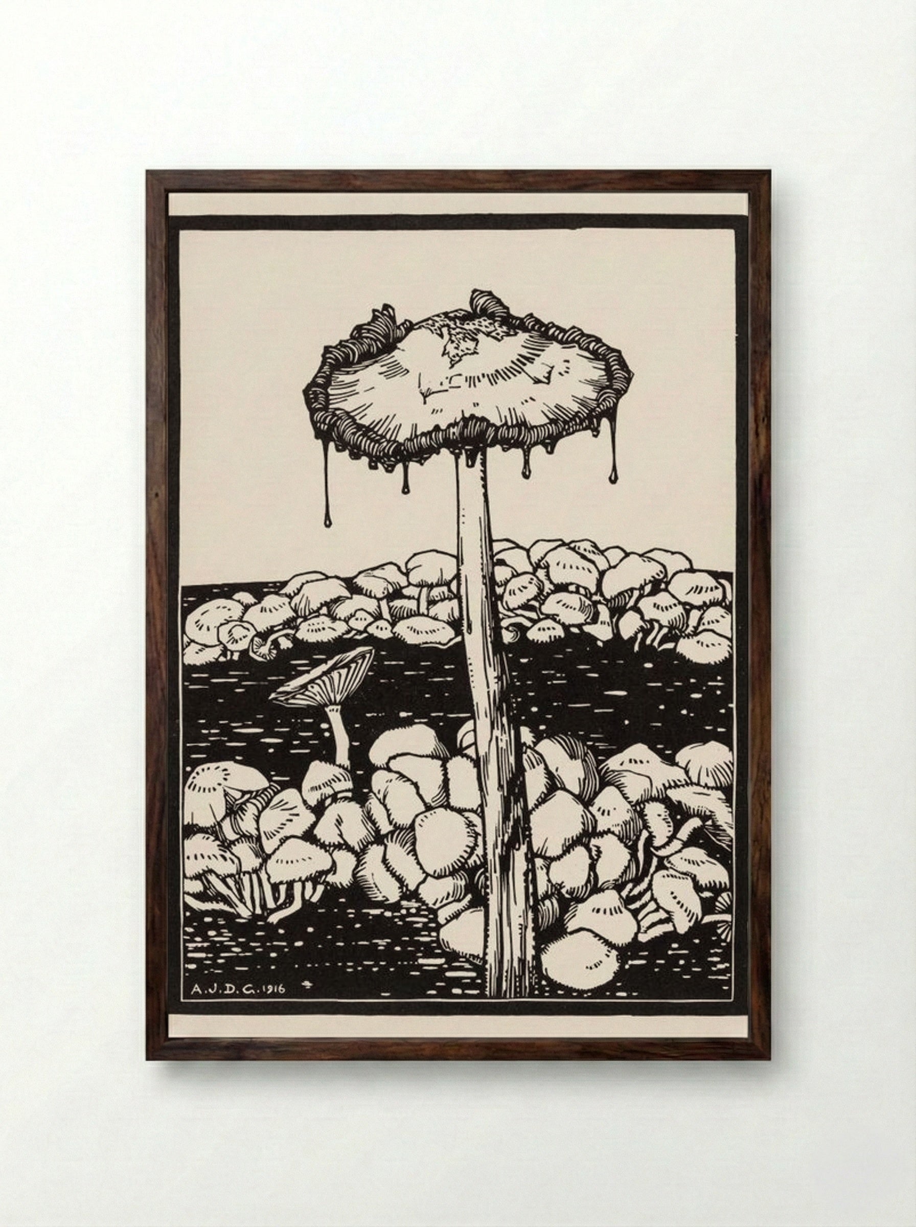 Dripping Mushroom - Julie de Graag - Framed Print Dark Wood