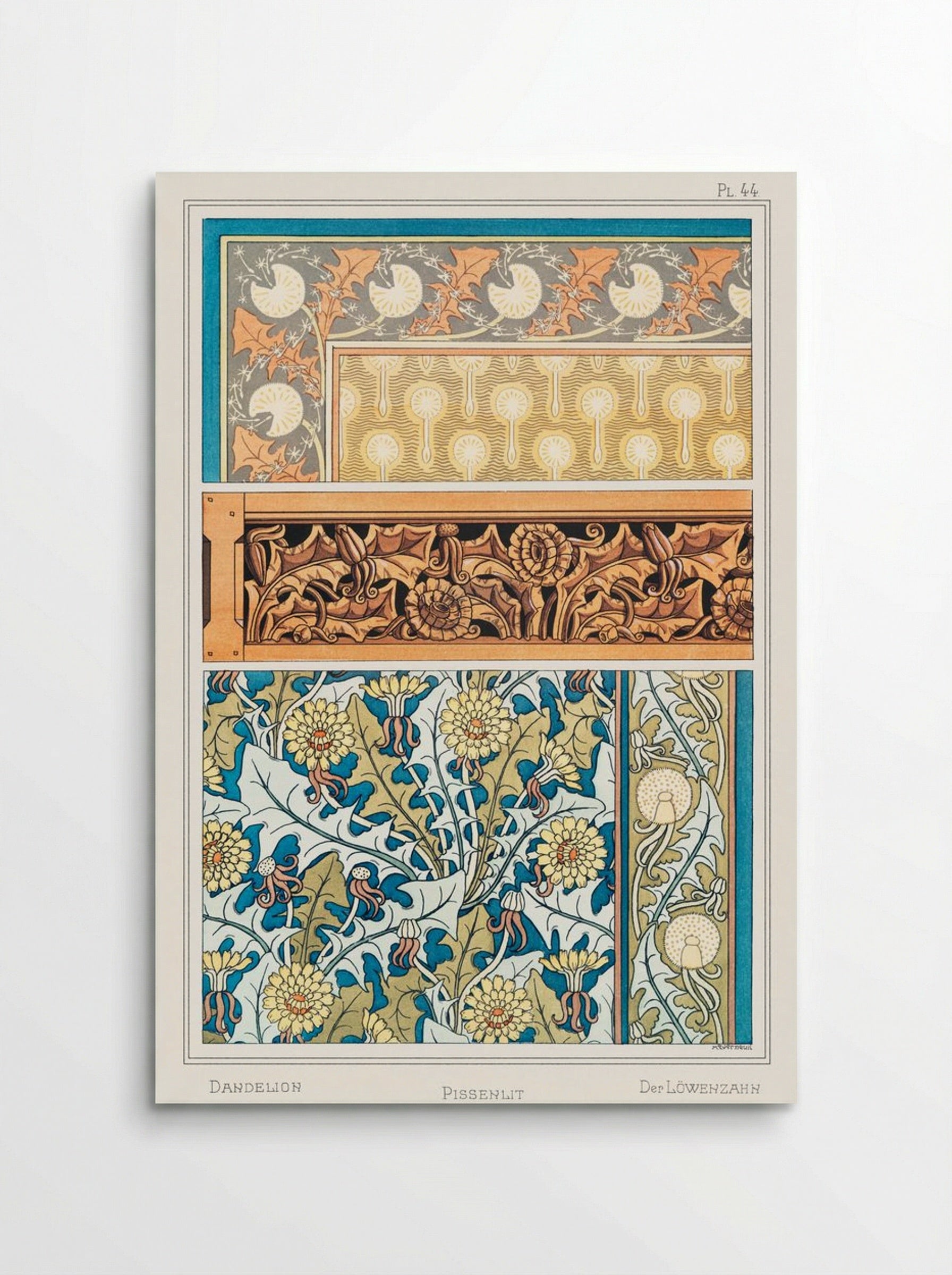 Pissenlit (Dandelion) from La Plante et ses Applications ornementales - Maurice Pillard Verneuil - Poster