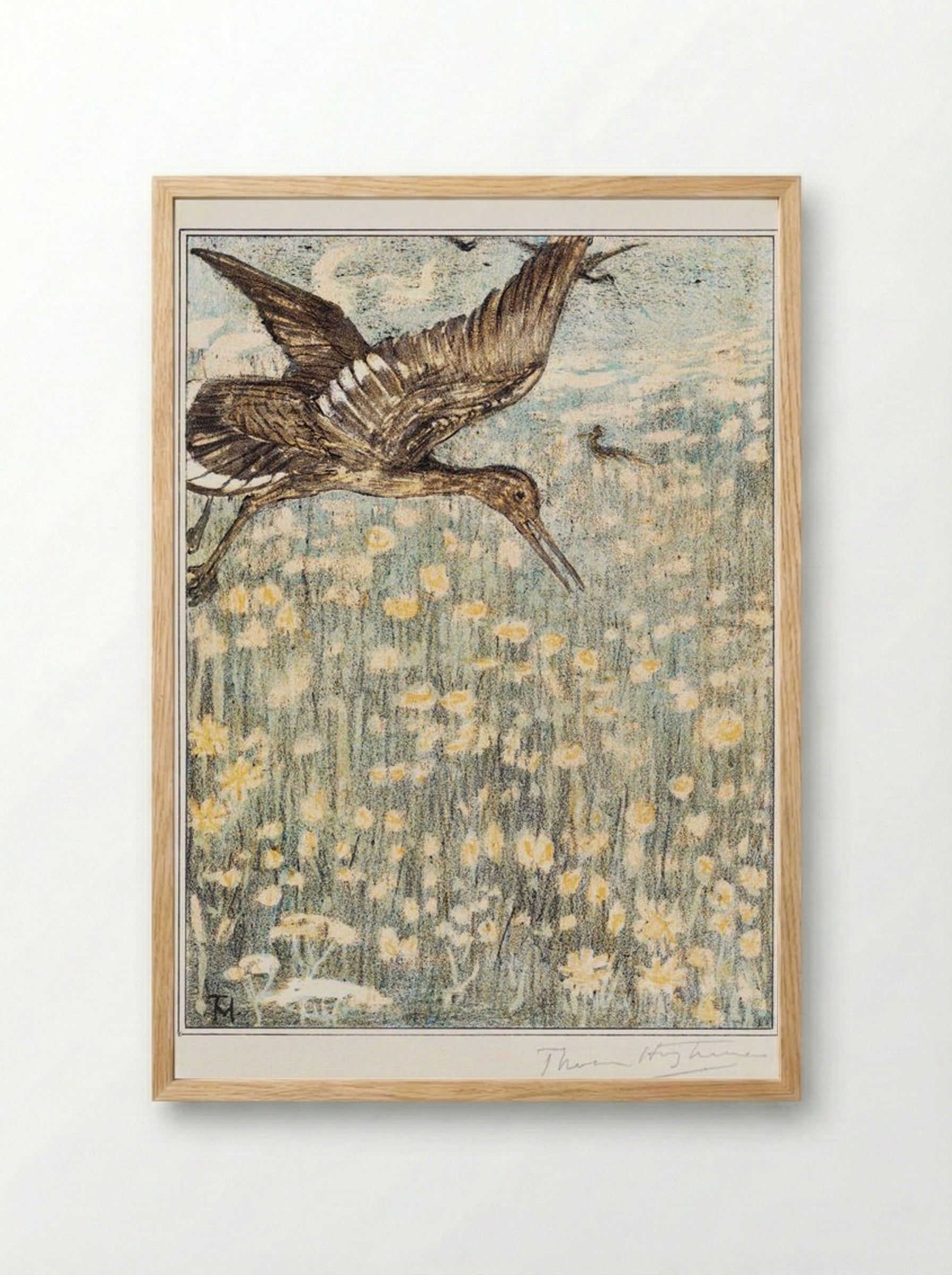 Tureluur (Redshank) - Theo van Hoytema - Framed Print Wood