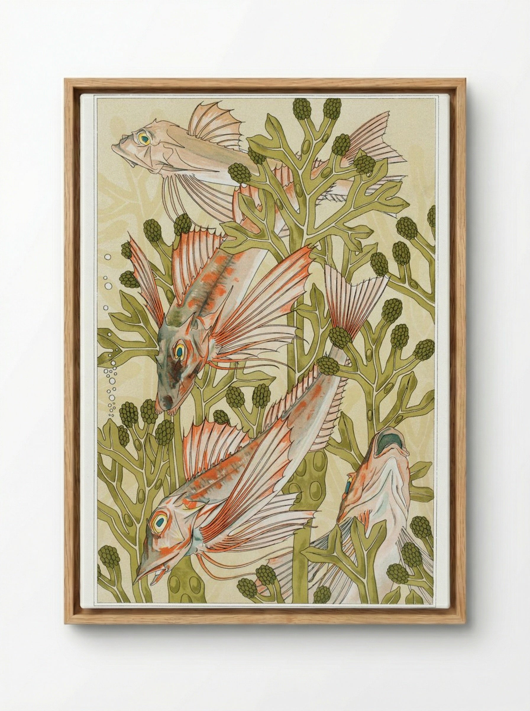 Rouget (From L'animal dans la décoration) - Maurice Pillard Verneuil - Framed Canvas Wood