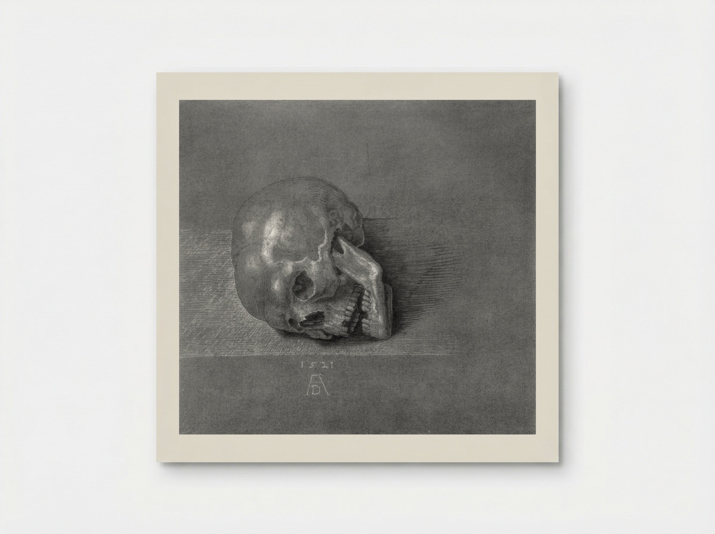 Skull (Study) - Albrecht Dürer - Poster