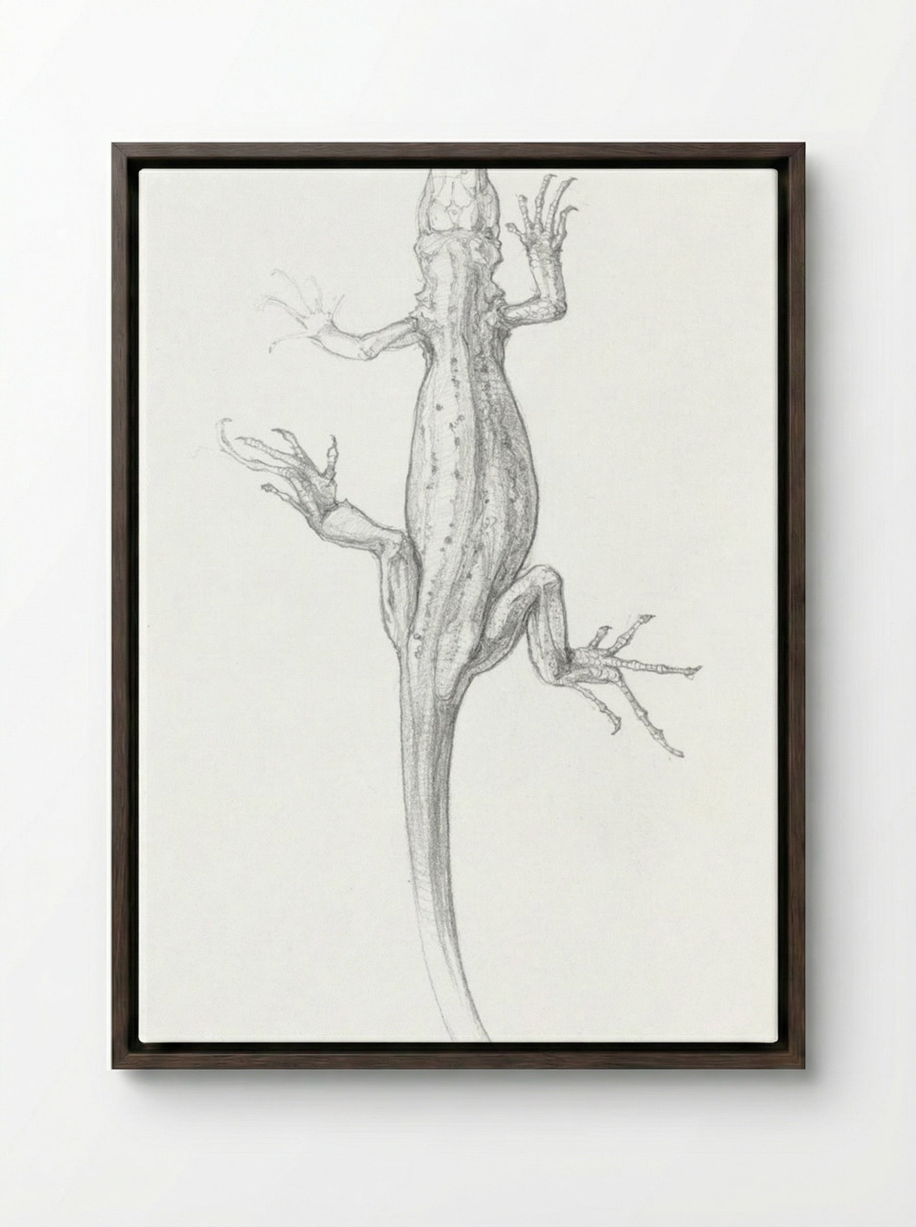 Sketch of a Lizard - Julie de Graag - Framed Canvas Dark Wood