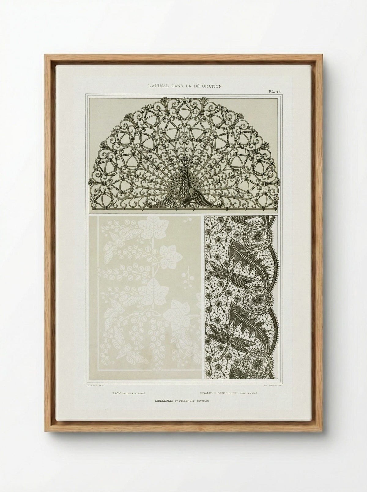 L'Animal dans la Décoration, Plate 14 (Peacock, Cicadas, Dragonflies) - Maurice Pillard Verneuil - Framed Canvas Wood
