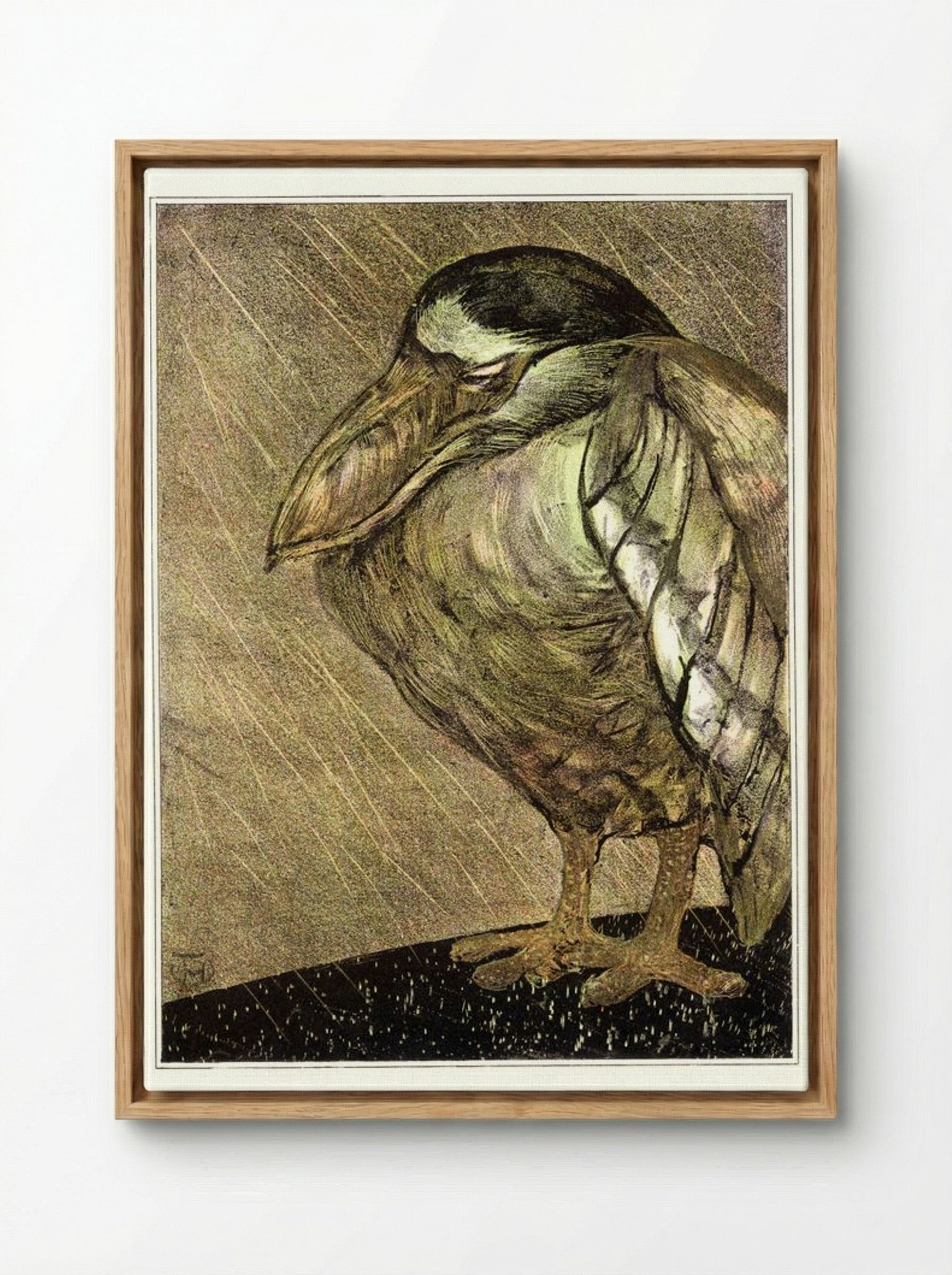 Schuitbekreiger in de regen (Night Heron in the Rain) - Theodorus van Hoytema - Framed Canvas Wood