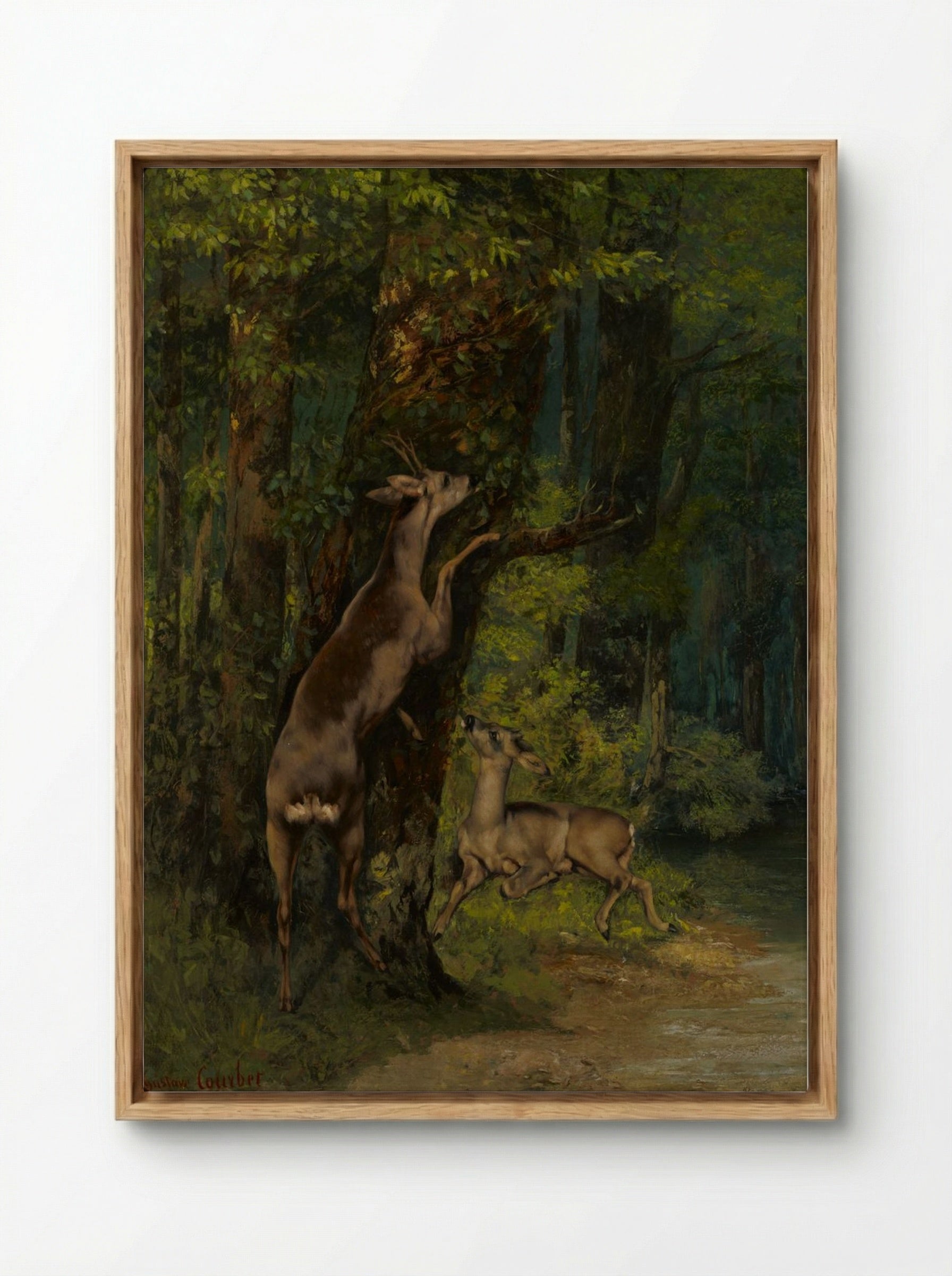 Deer in the Forest - Gustave Courbet - Framed Canvas Wood