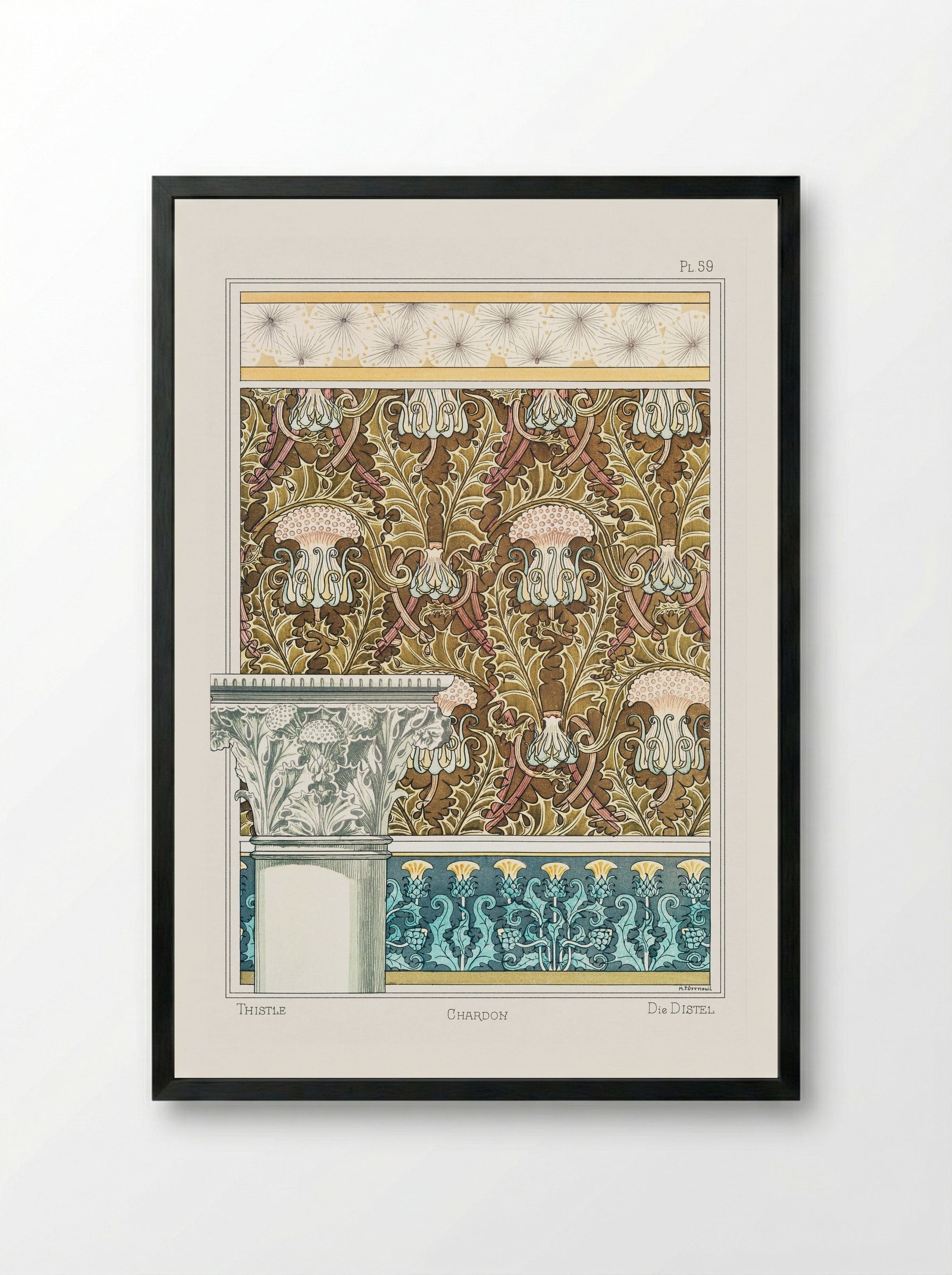 Chardon (Thistle) from La Plante et ses Applications ornementales - Maurice Pillard Verneuil - Framed Print Black