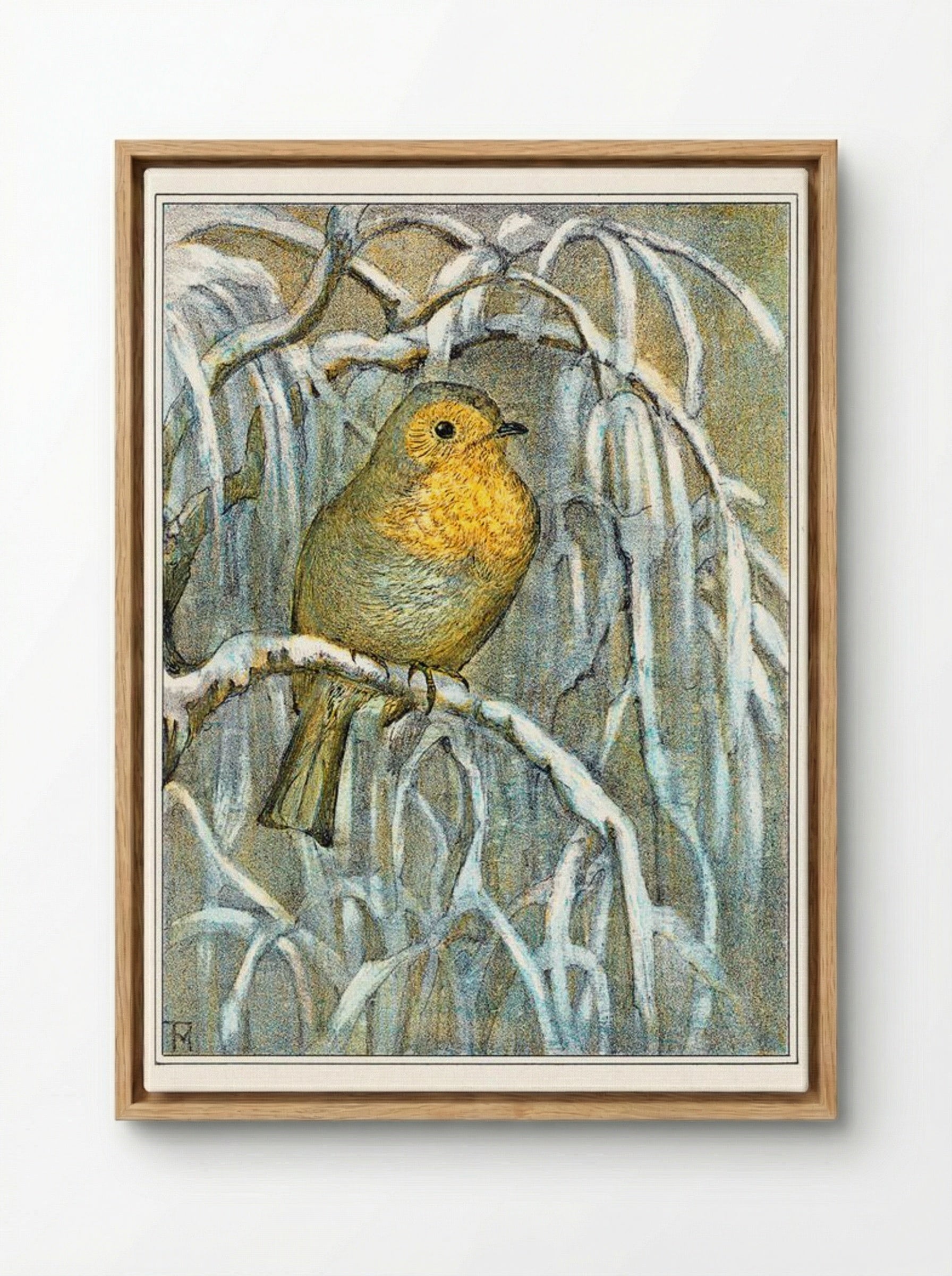 Robin on Snowy Branch - Theo van Hoytema - Framed Canvas Wood