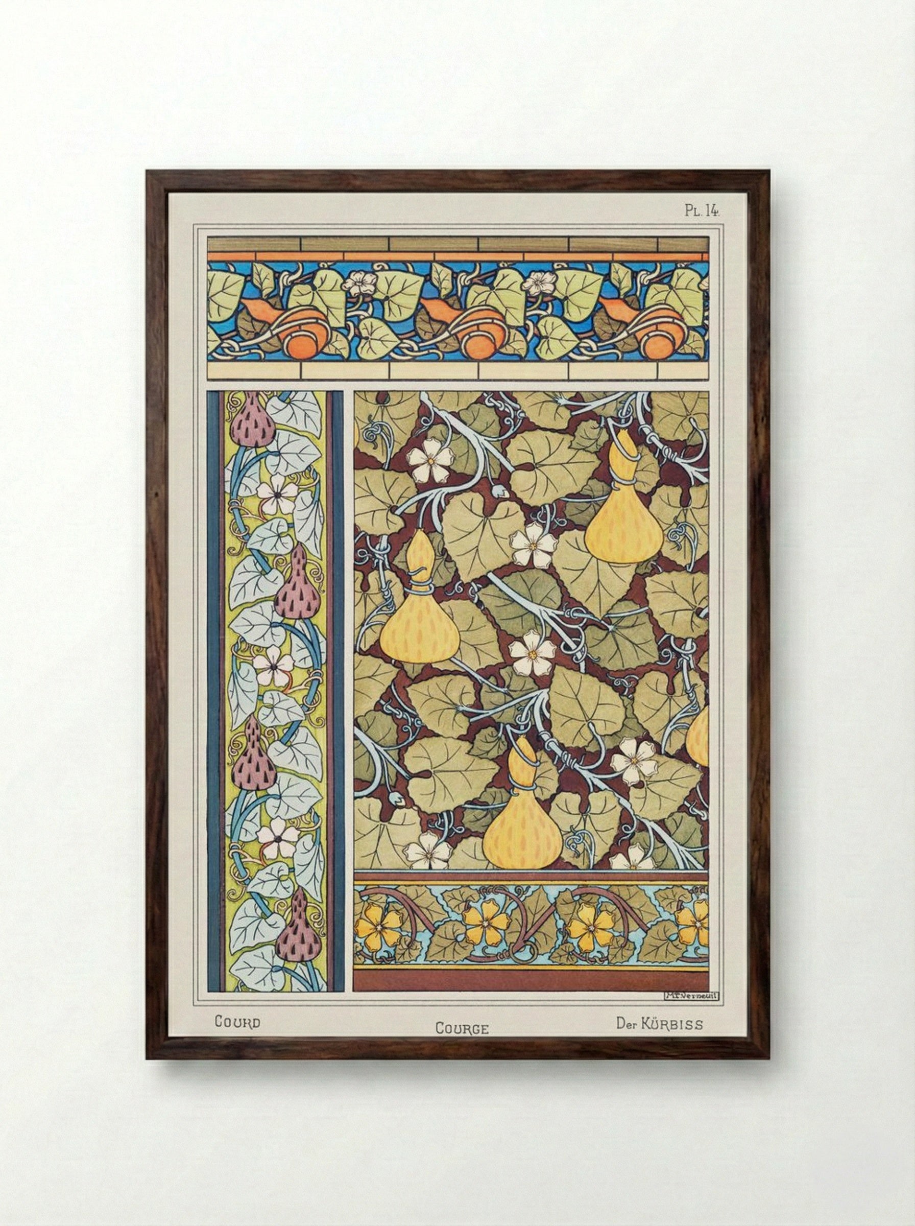 Courge (White-Flowered Gourd, from La Plante et ses Applications ornementales) - Maurice Pillard Verneuil - Framed Print Dark Wood