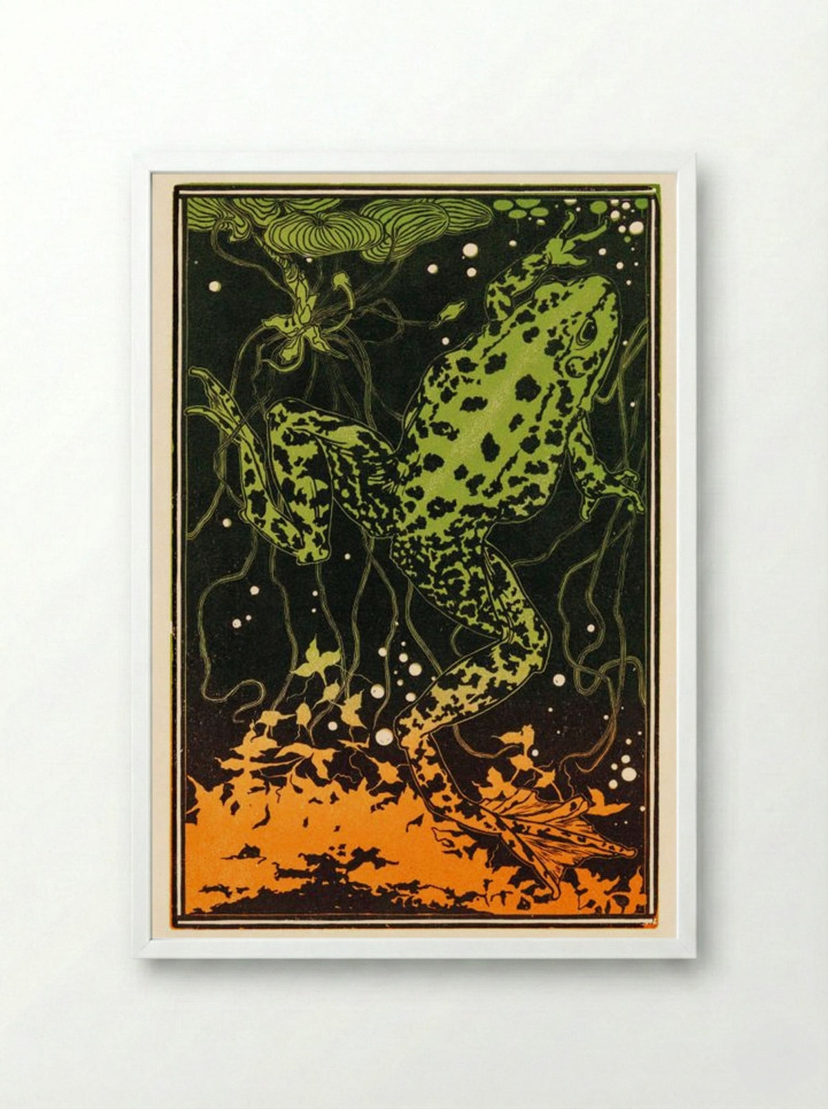 Swimming Frog - Julie de Graag - Framed Print White