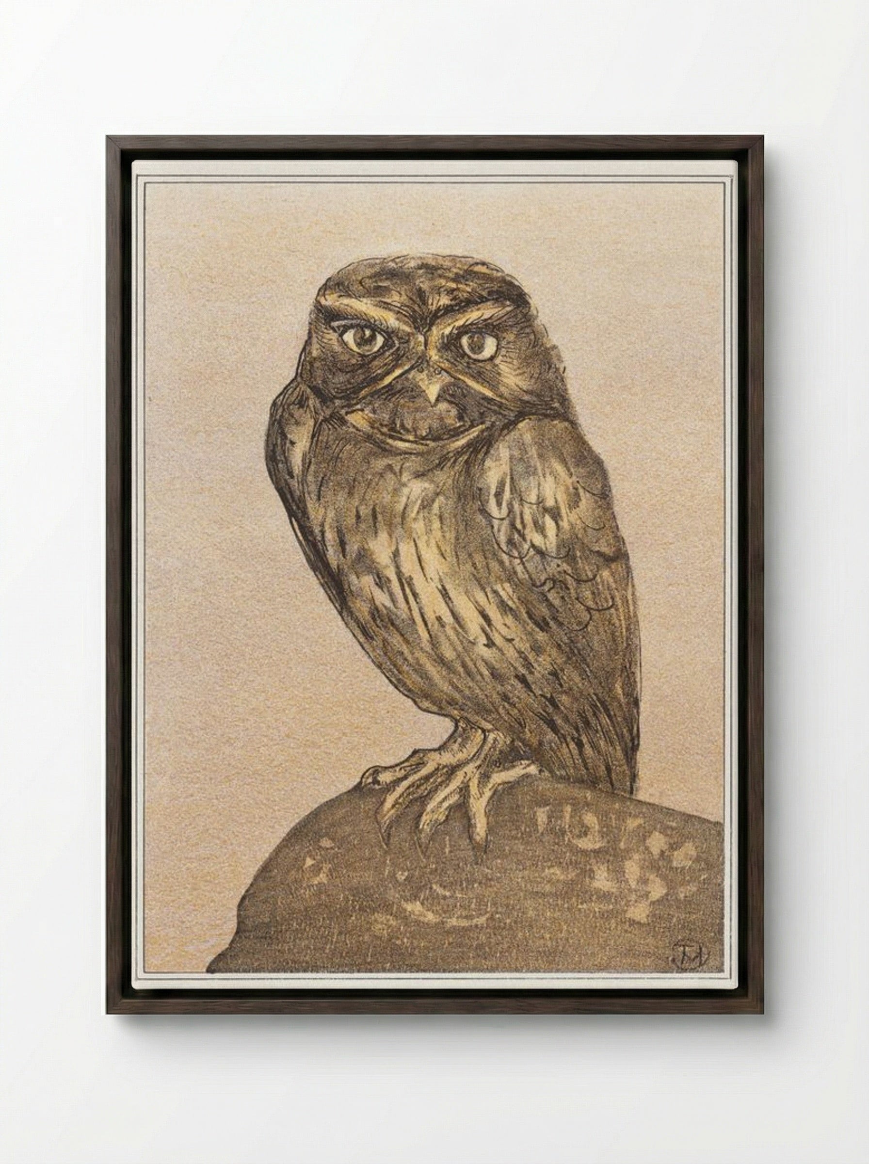 Little Owl on a Rock - Theo van Hoytema - Framed Canvas Dark Wood