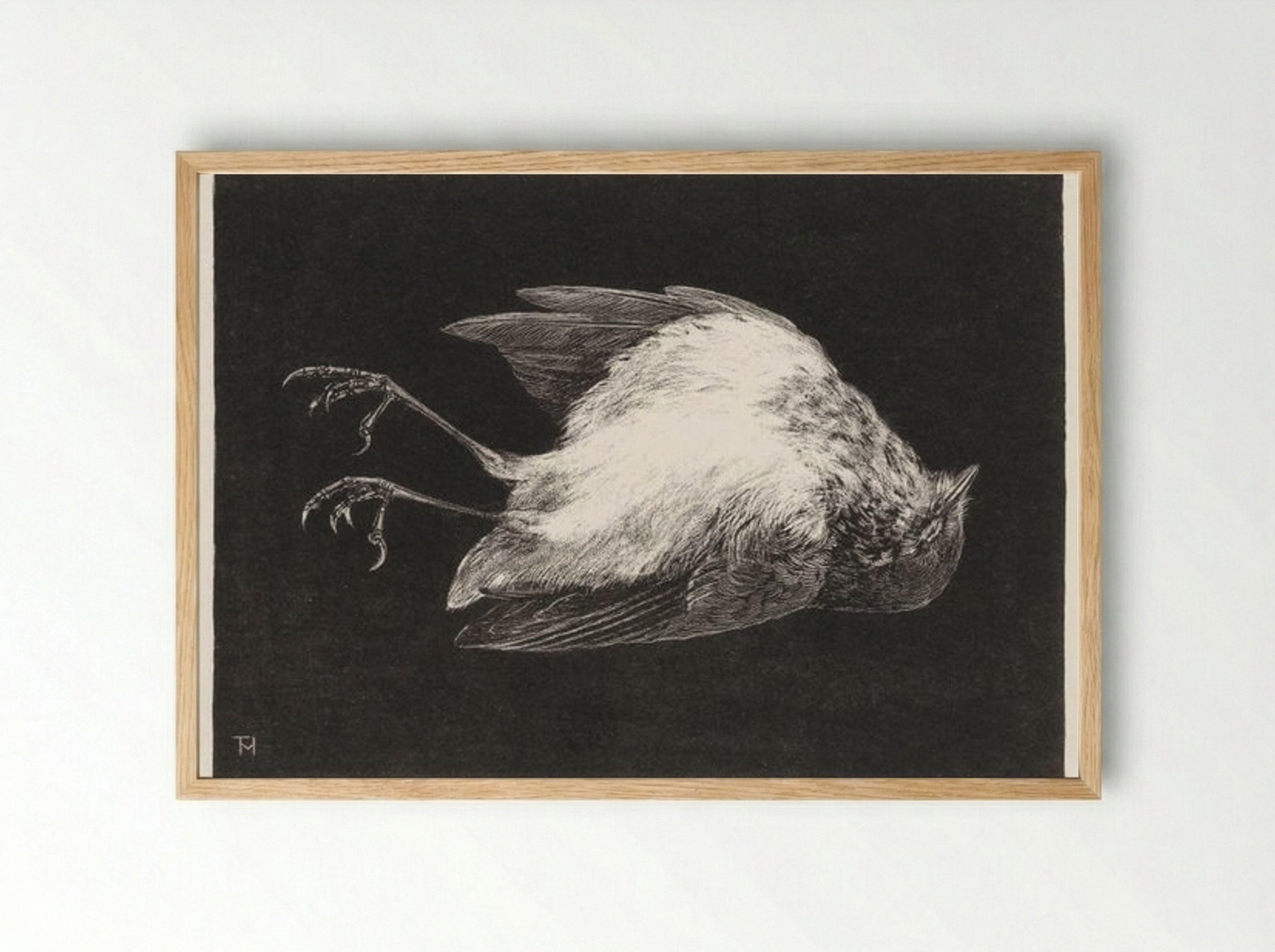 Dood Roodborstje (Dead Robin) - Theo van Hoytema - Framed Print Wood