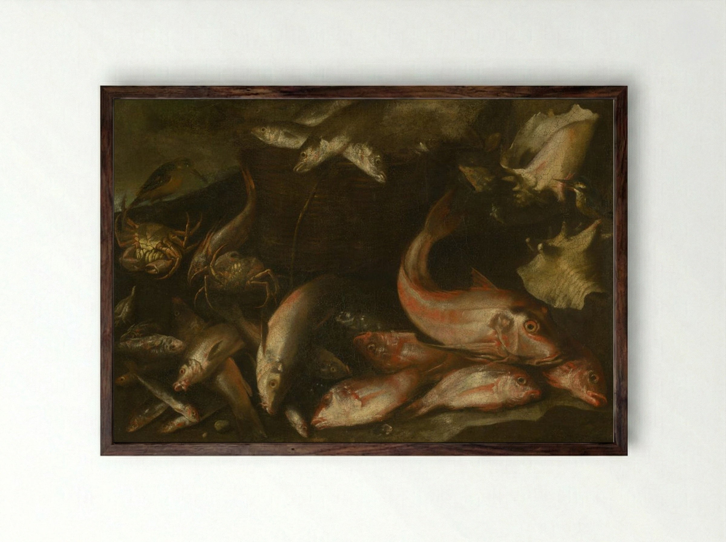 Still Life with Fish, Crabs, and Shells - Fine Art Print - Framed Print Dark Wood