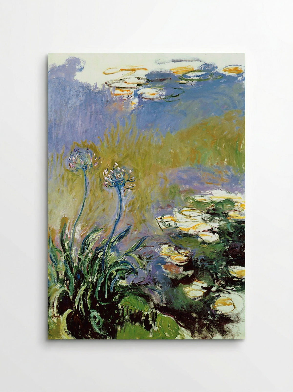 Agapanthus - Claude Monet - Poster
