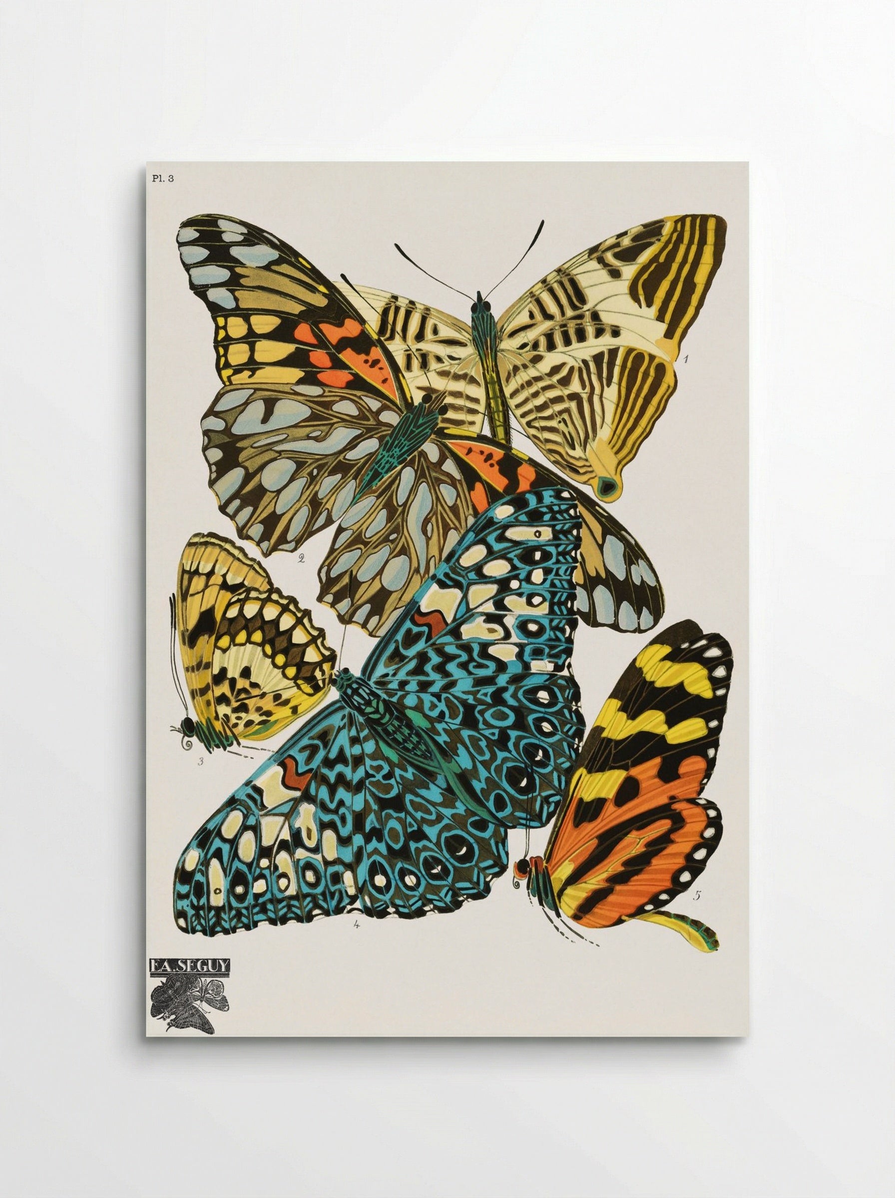 Butterflies, Plate 3 - Émile-Allain Séguy - Poster