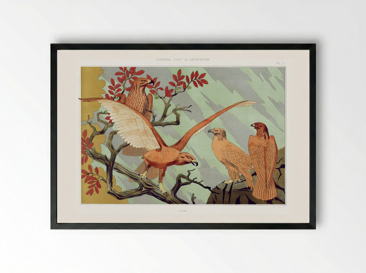 Aigles (Eagles) from L'animal dans la décoration - Maurice Pillard Verneuil - Framed Print Black
