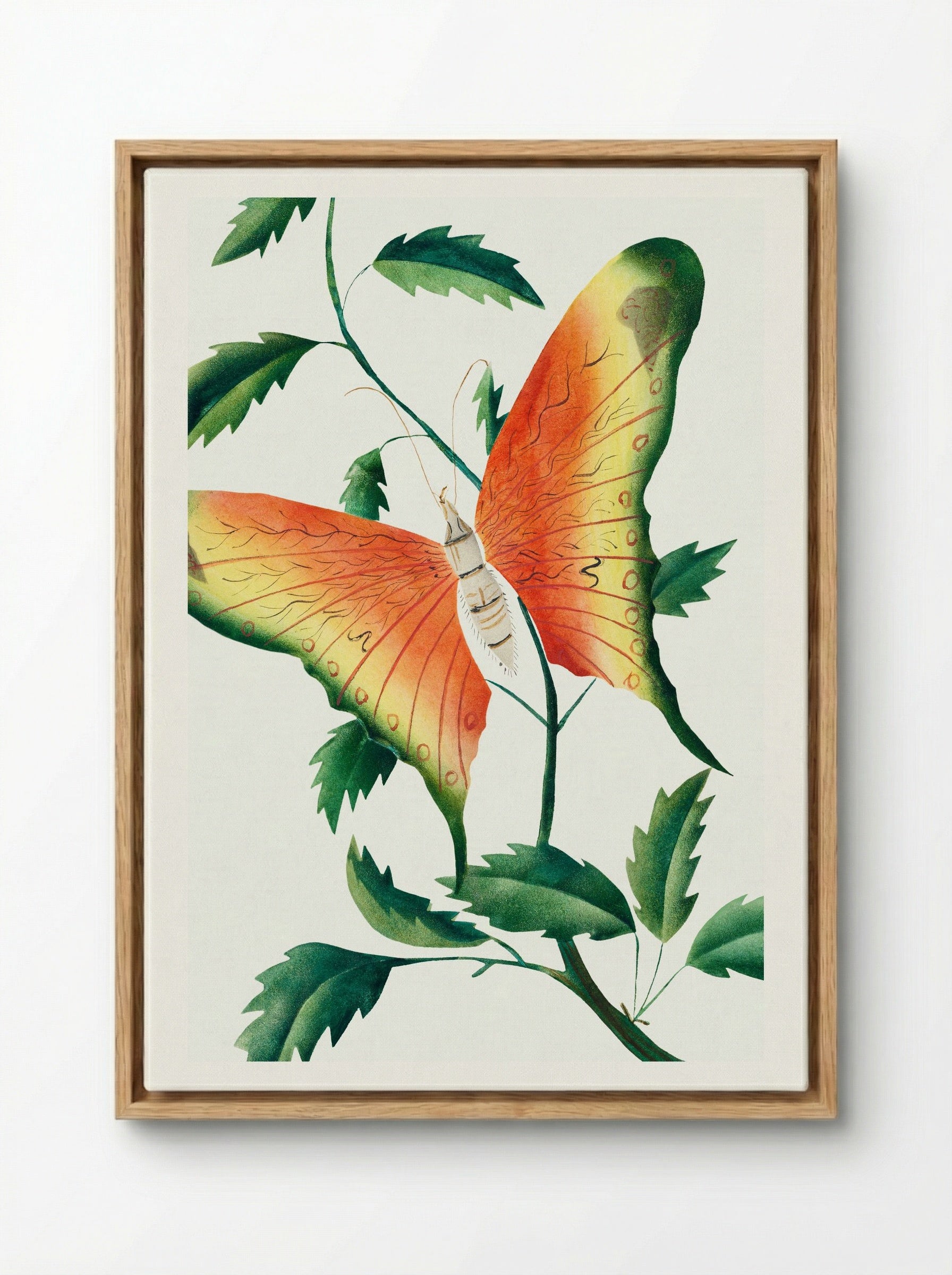 Rose Bush and Butterfly - Mary Altha Nims - Framed Canvas Wood
