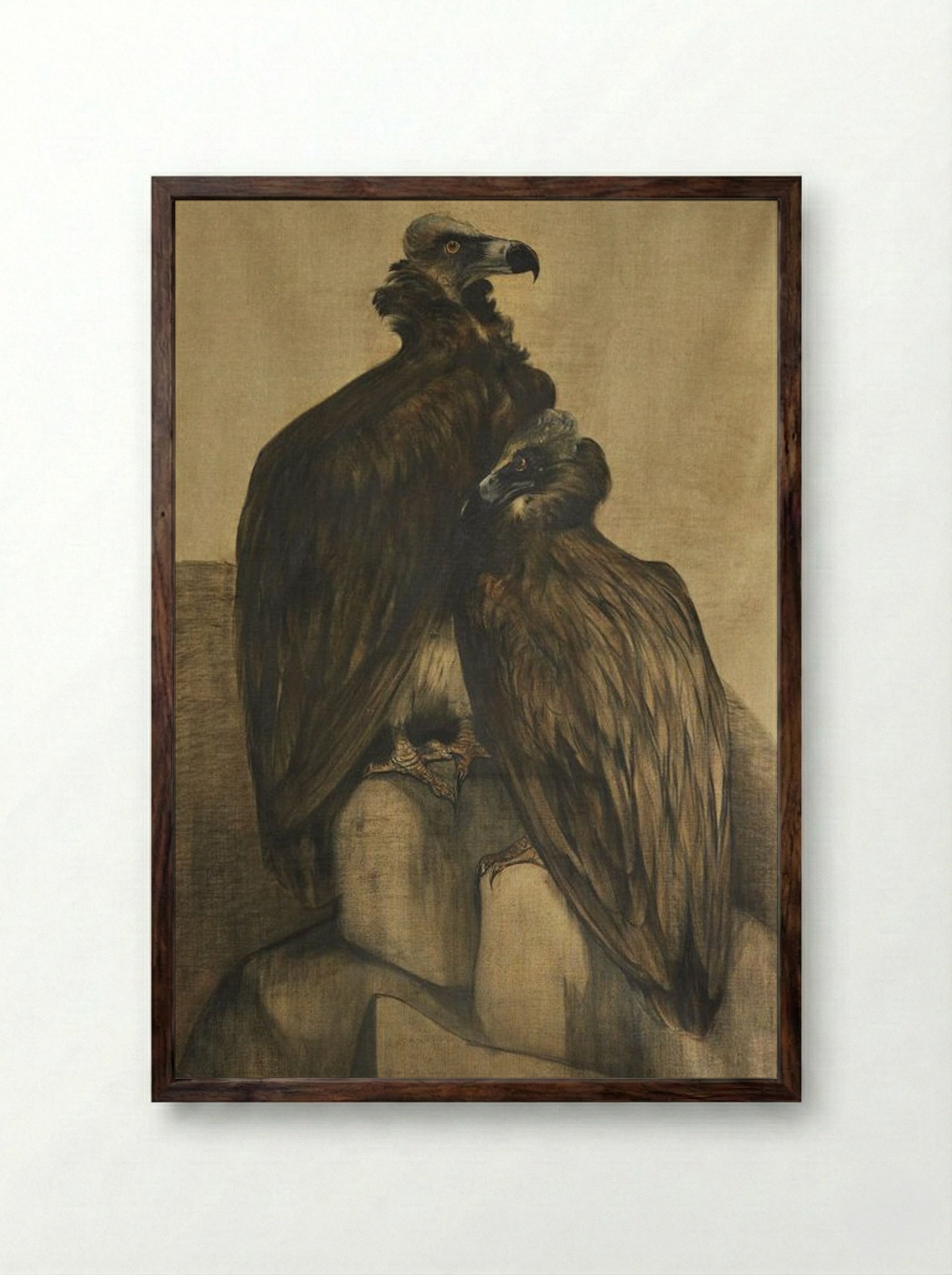 Two Arabian Vultures - Theo van Hoytema - Framed Print Dark Wood