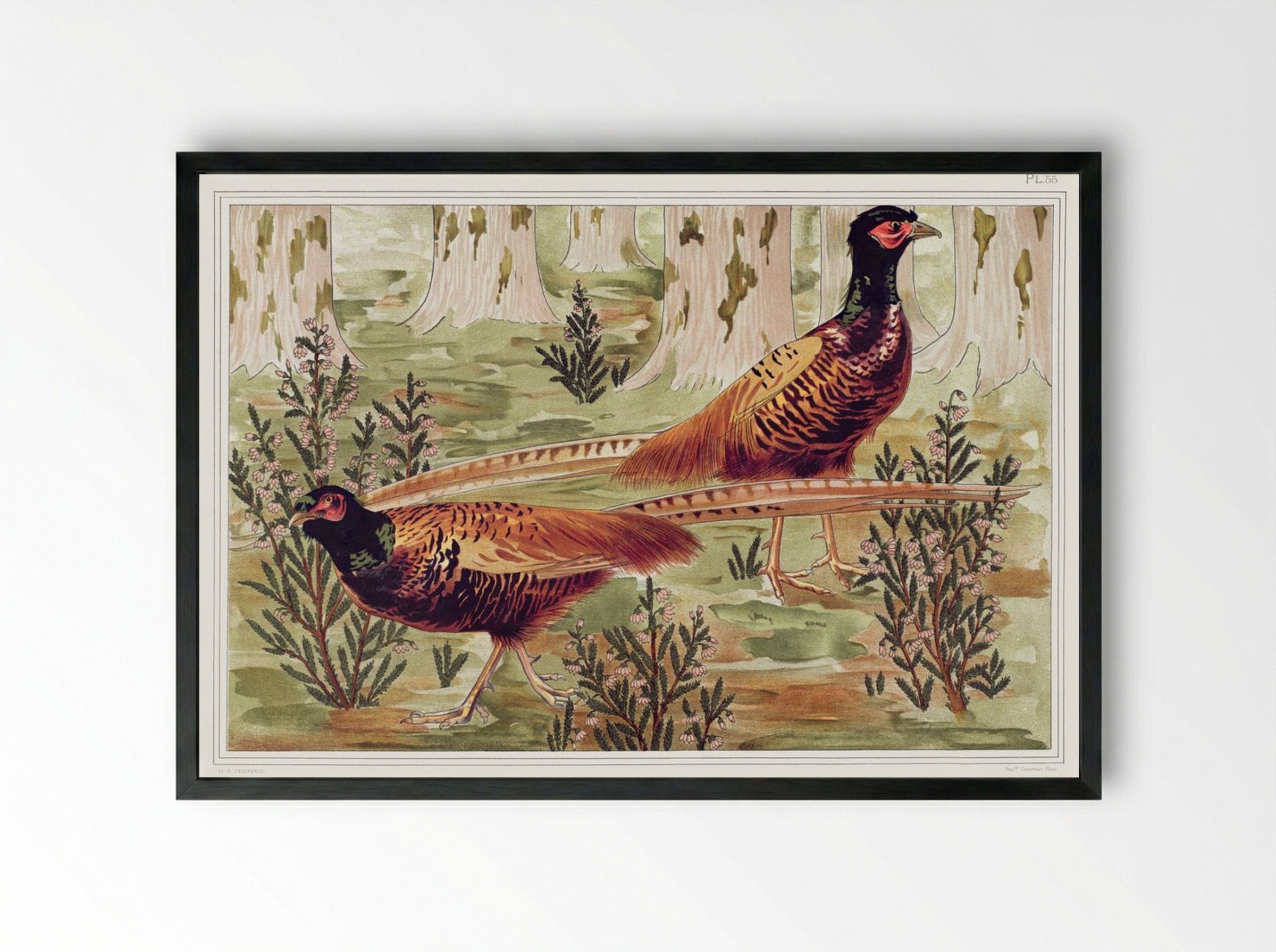 Faisans Ordinaires (Common Pheasants) - Maurice Pillard Verneuil - Framed Print Black