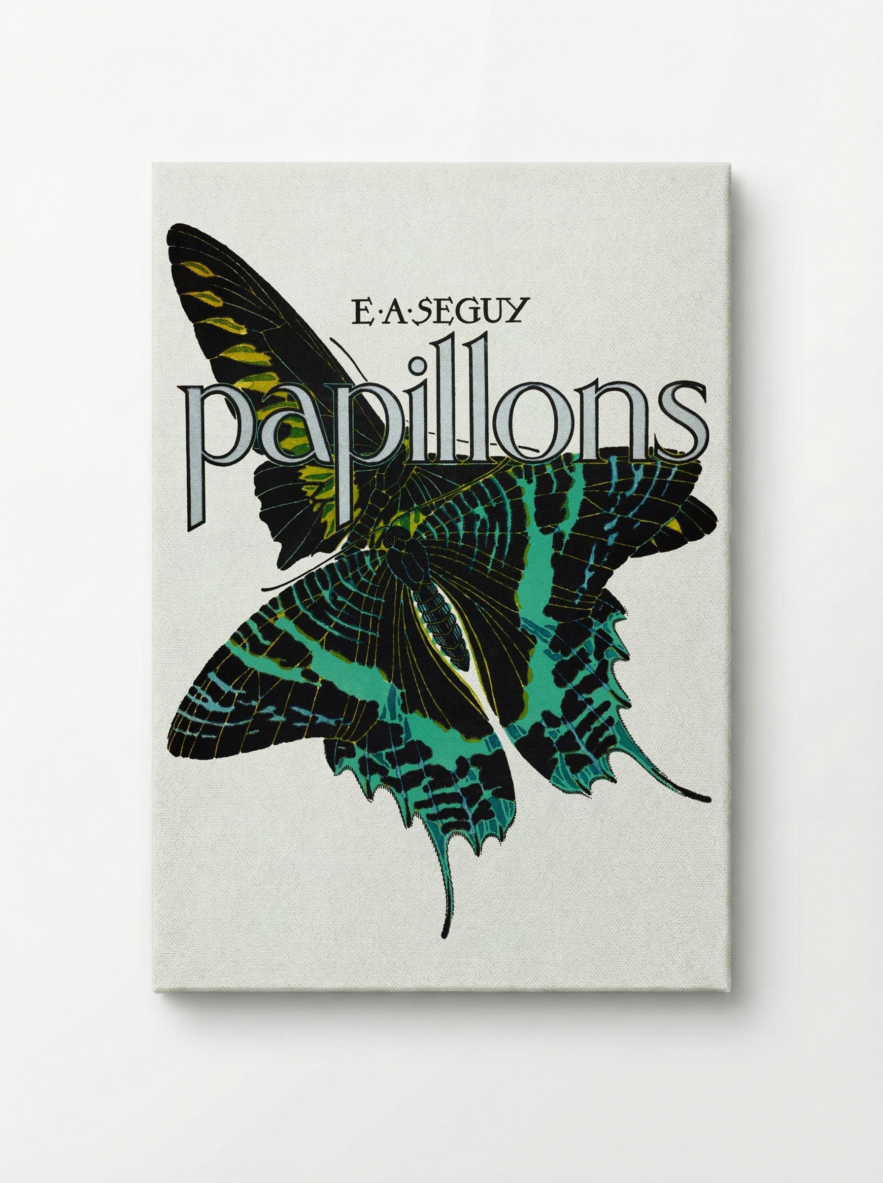 Papillons, Plate No. 1 (Teal and Black Butterfly) - Émile-Allain Séguy - Canvas