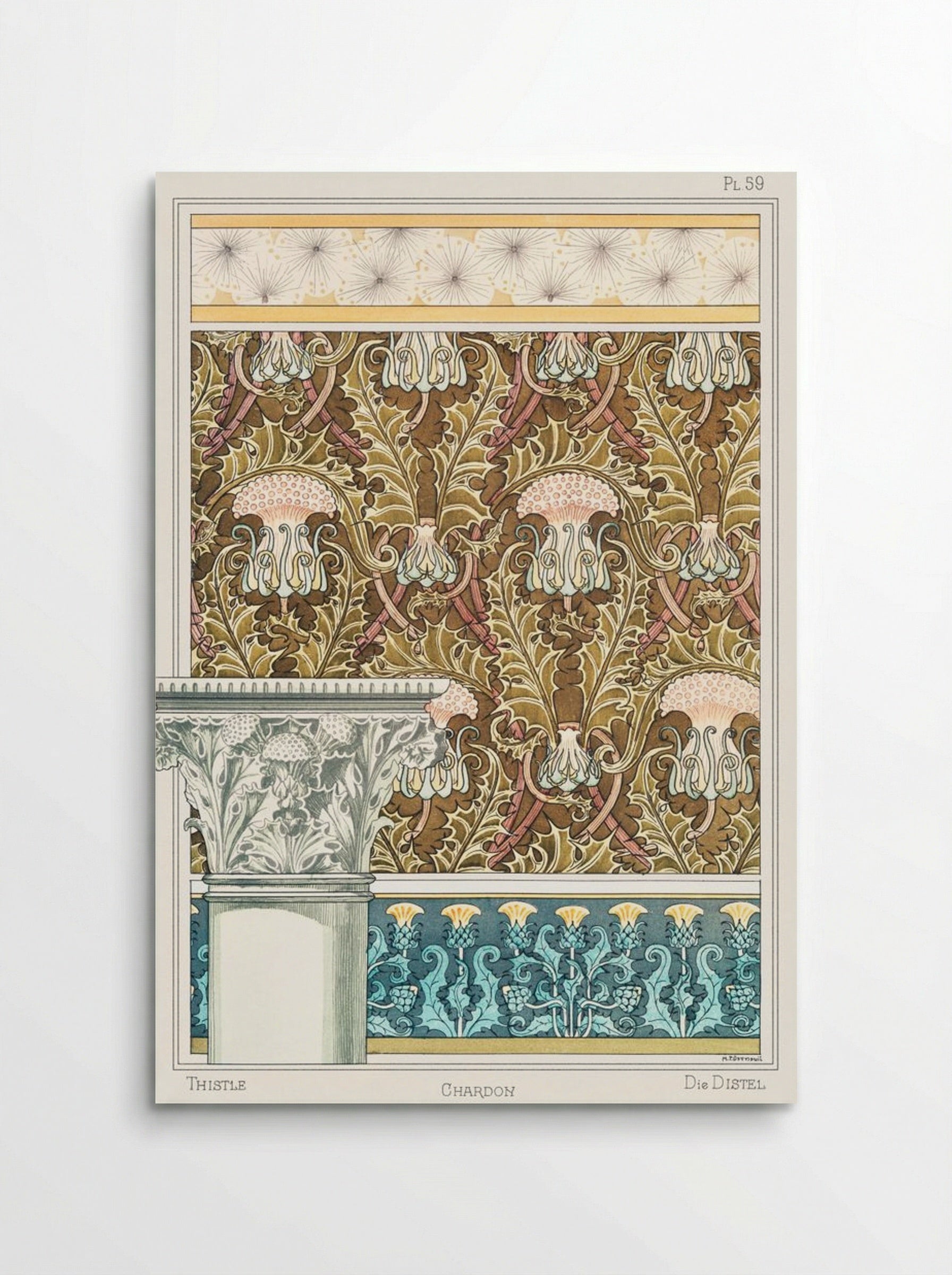 Chardon (Thistle) from La Plante et ses Applications ornementales - Maurice Pillard Verneuil - Poster