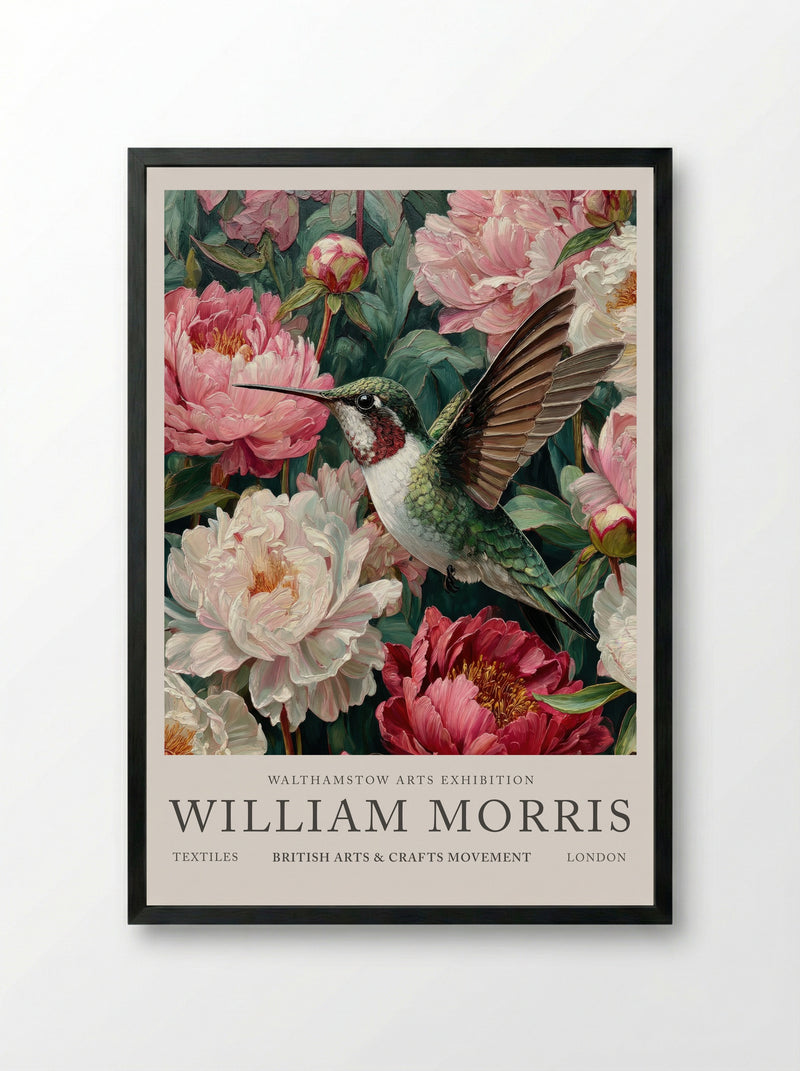 Peony Hummingbird Flight - William Morris - Framed Print Black