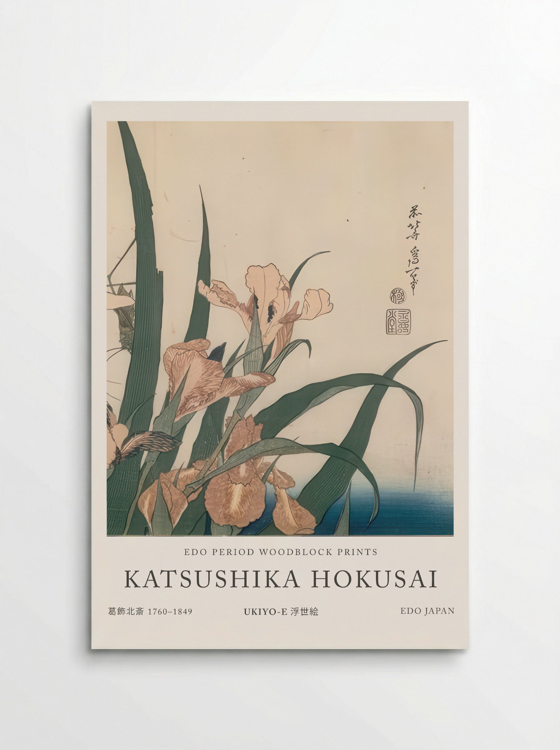 Irises and Grasshopper – Fine Art Print