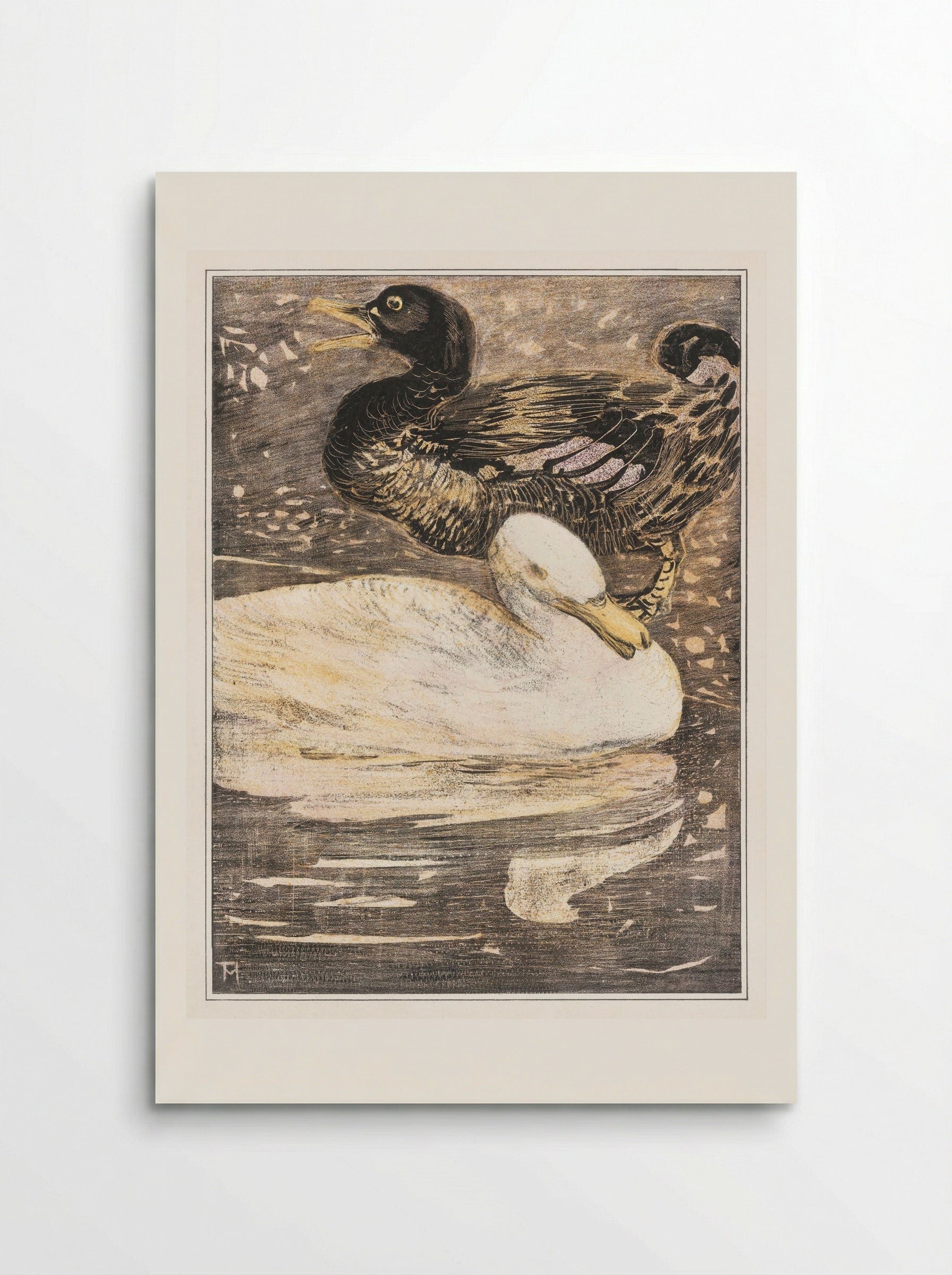 Two Ducks - Theo van Hoytema - Poster