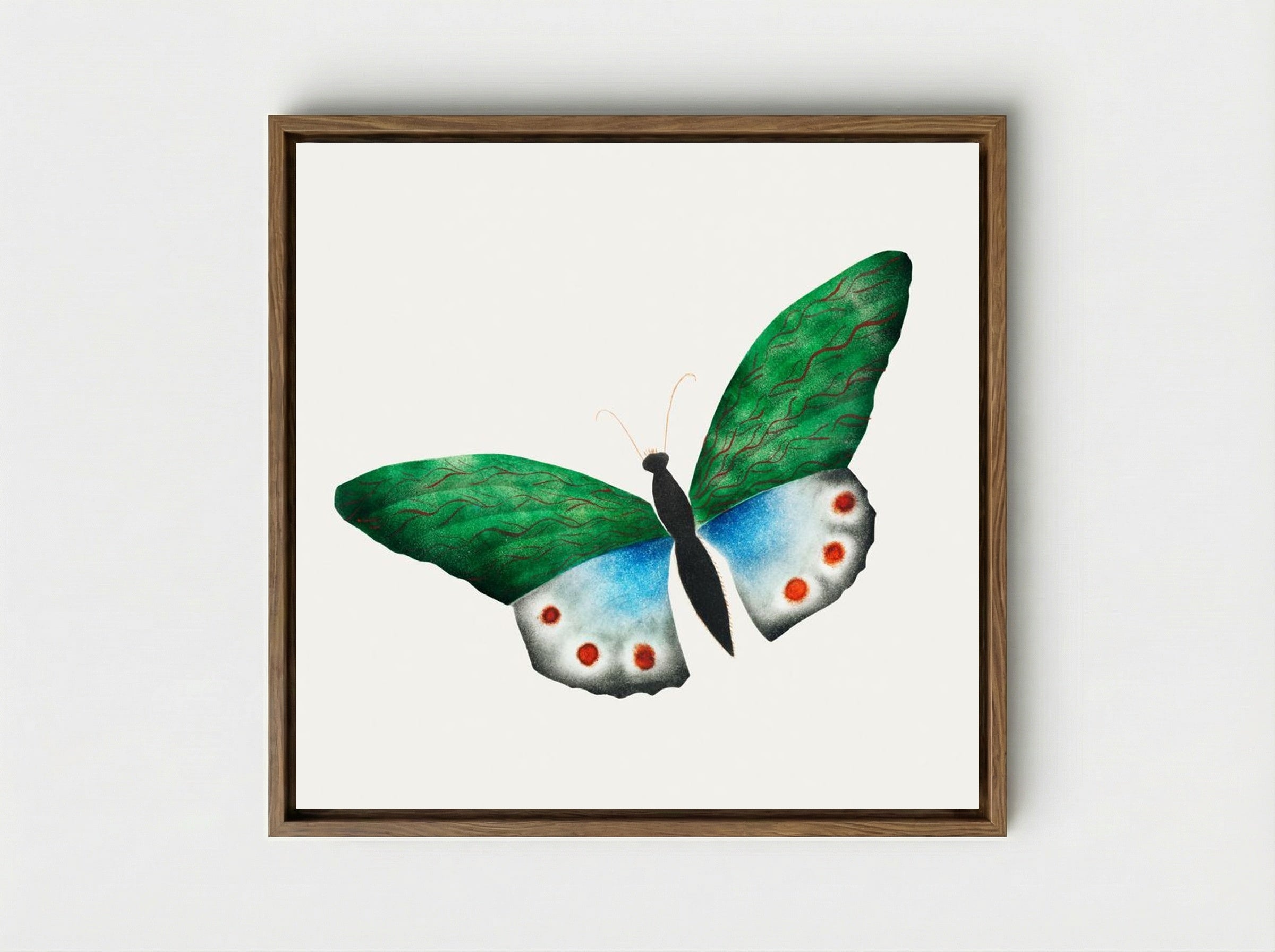Butterfly - Mary Altha Nims - Framed Canvas Wood