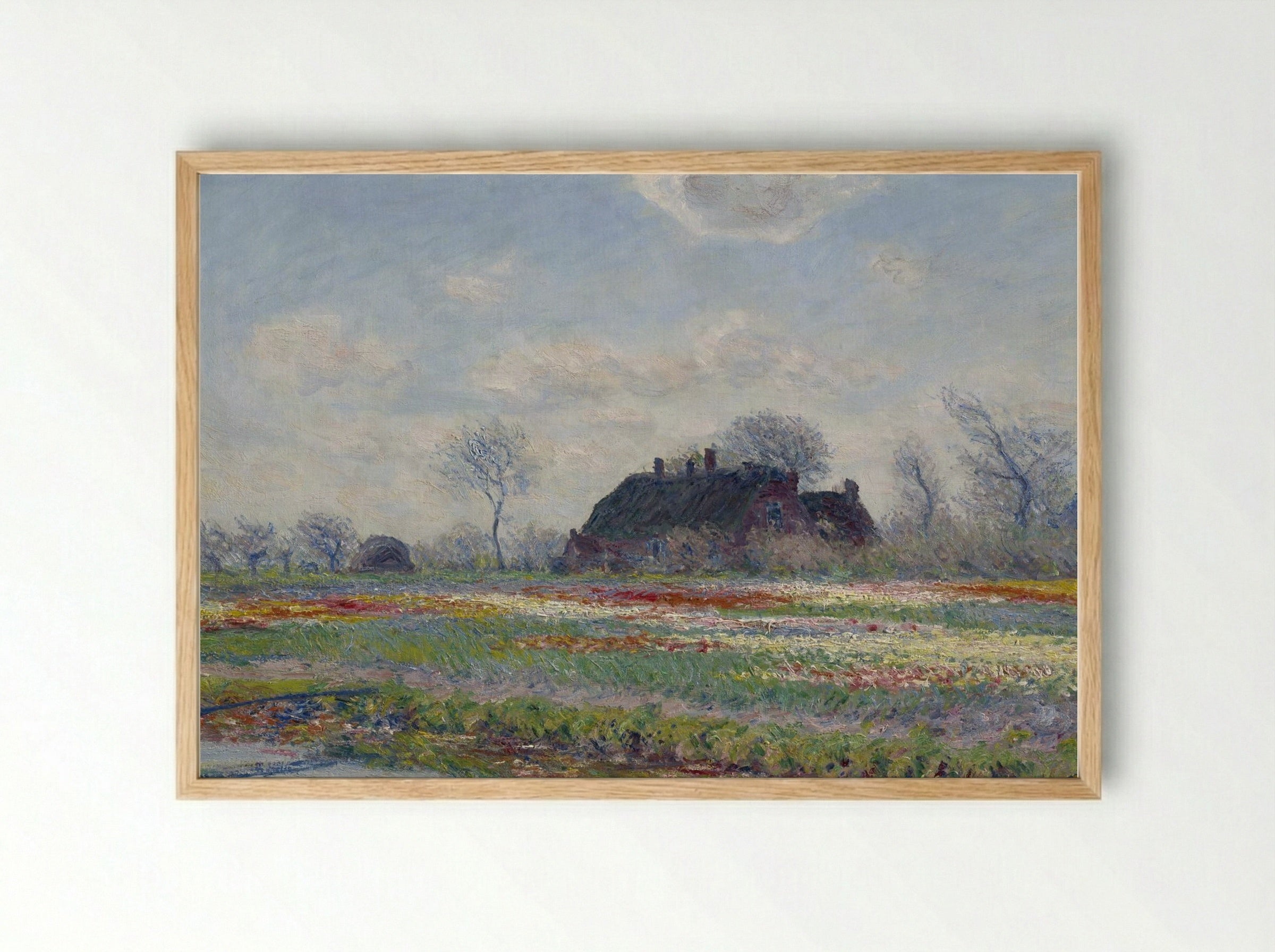 Tulip Fields at Sassenheim - Claude Monet - Framed Print Wood