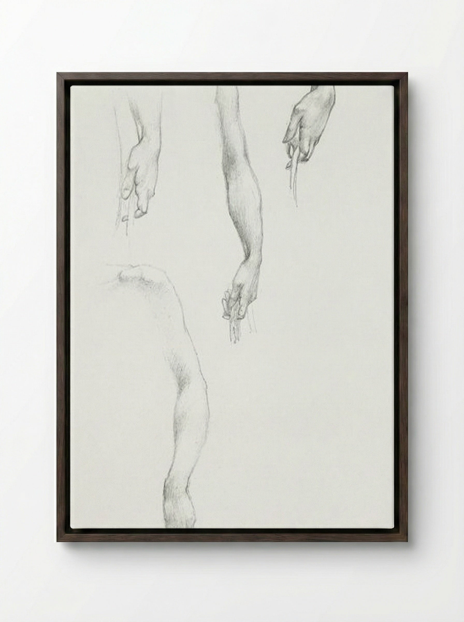 Studies of Arms and Hands - Edward Burne-Jones - Framed Canvas Dark Wood