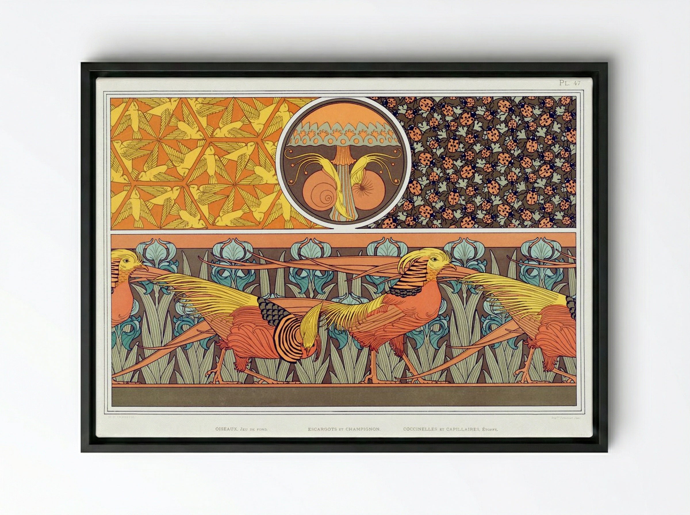 L'Animal dans la Décoration, Plate 47 - Fine Art Print - Framed Canvas Black