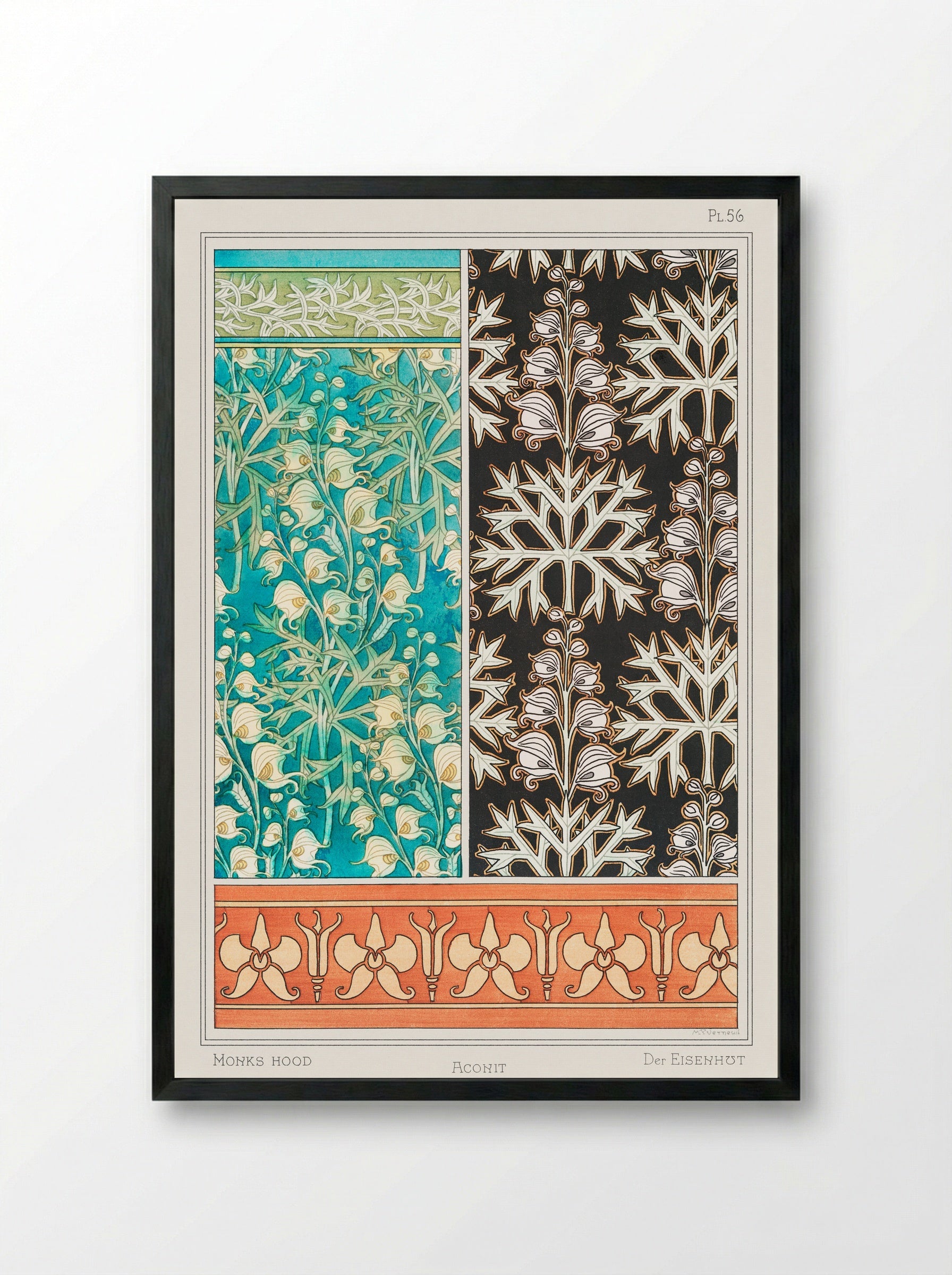 Aconite (Monkshood) from La Plante et ses Applications ornementales - Maurice Pillard Verneuil - Framed Print Black